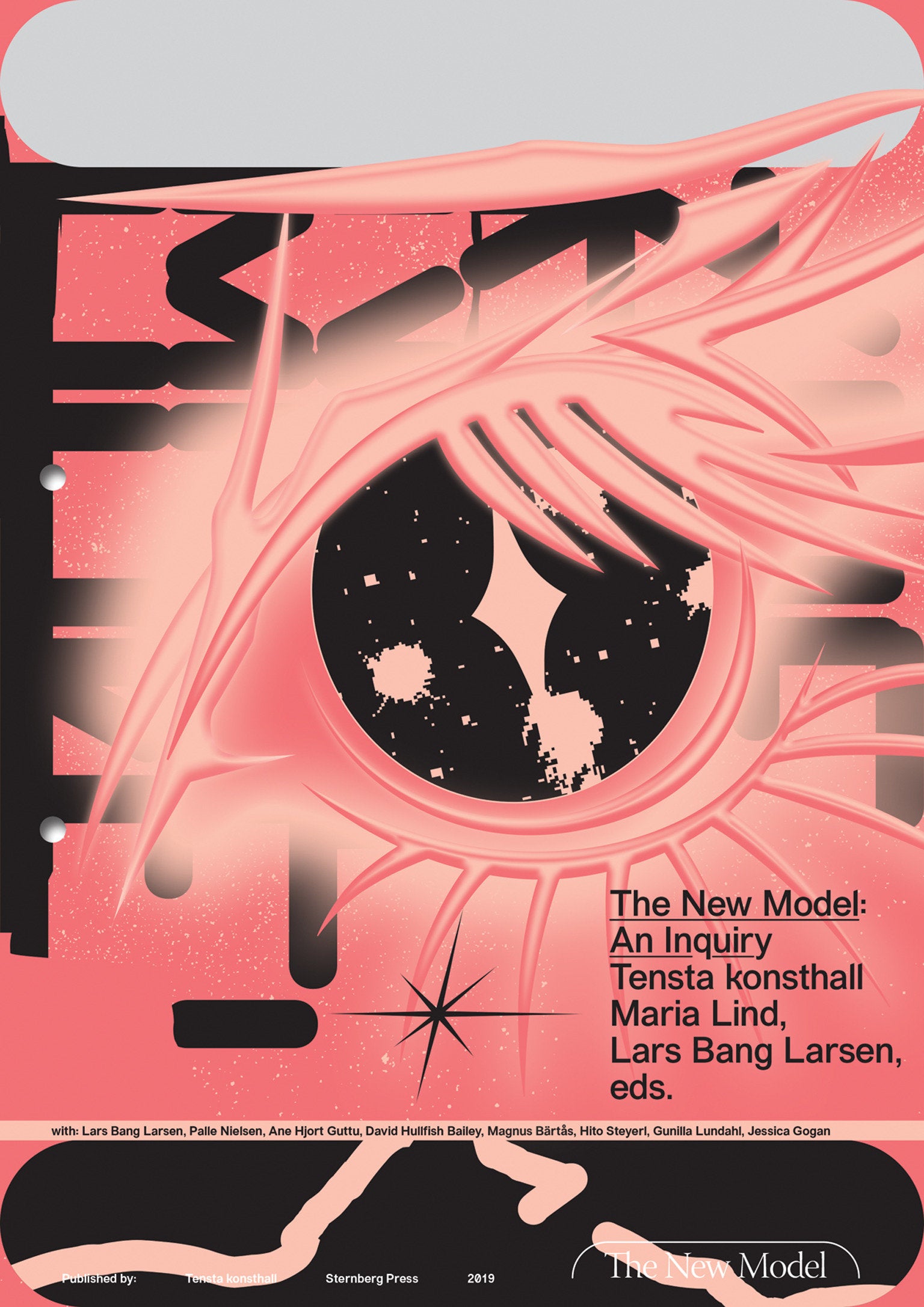 The New Model - An Inquiry