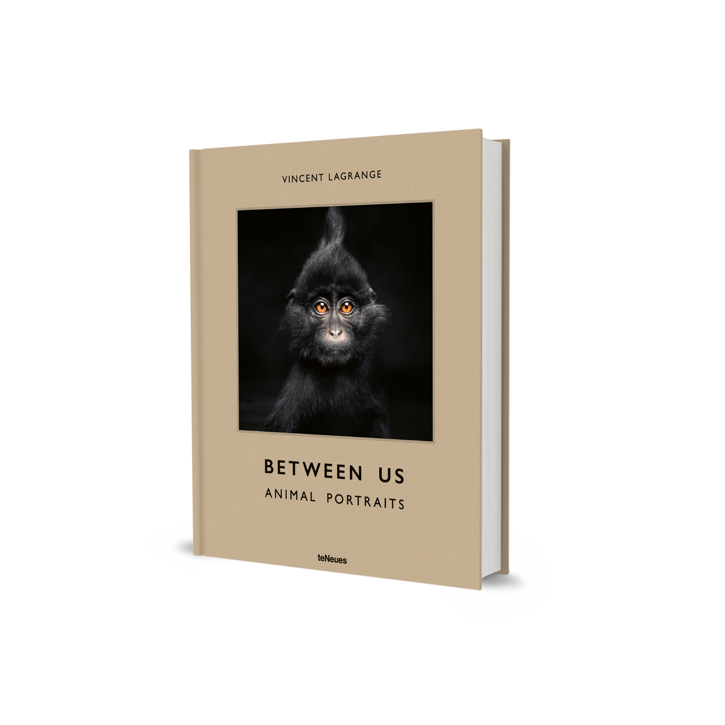 Between Us: Animal Portraits