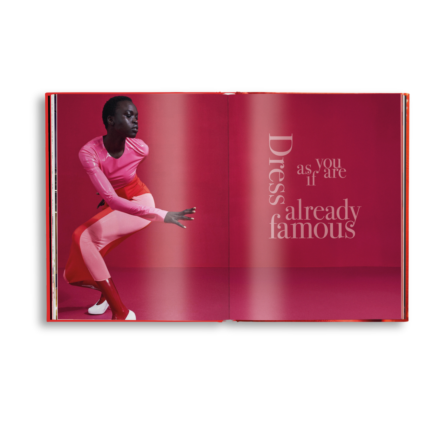 The Red Book: Fashion, Styles & Stories