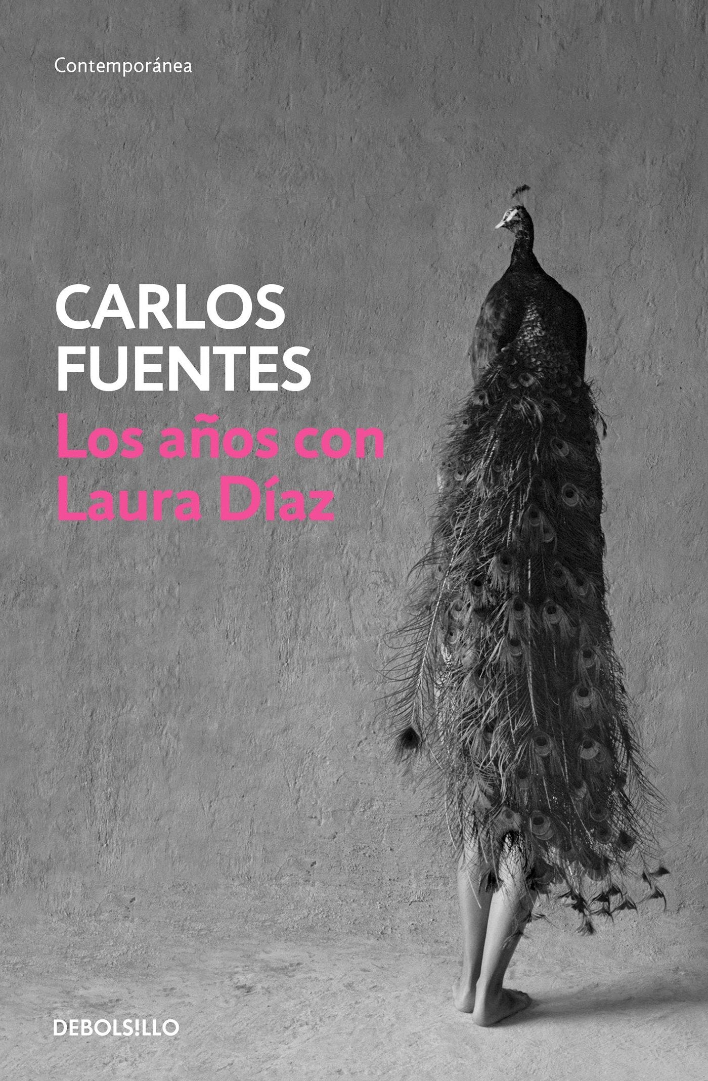 Los a�os con Laura Diaz / The Years with Laura Diaz