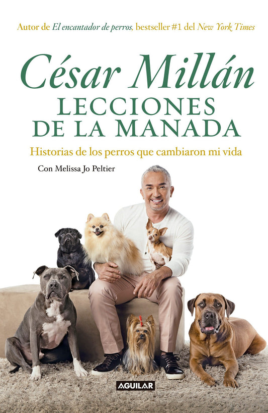 Lecciones de la manada / Cesar Millan's Lessons From the Pack - Historias de los perros que cambiaron mi vida
