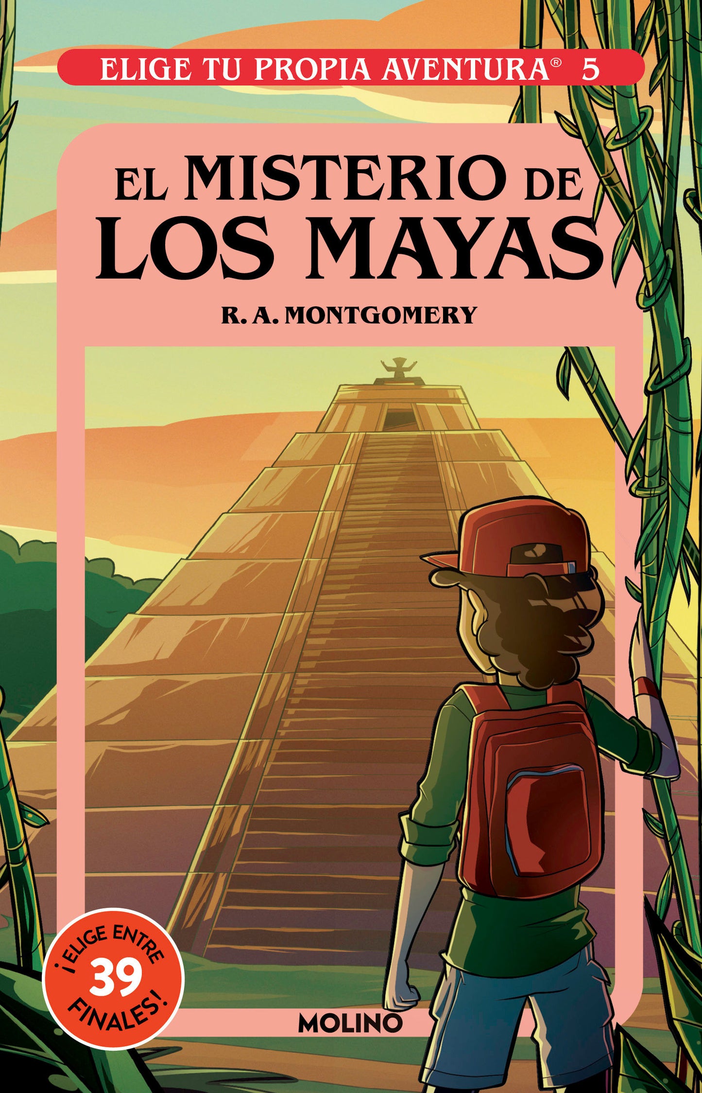 El misterio de los mayas/ Mystery of the Maya (Elige Tu Propia Aventura) (Book:5)