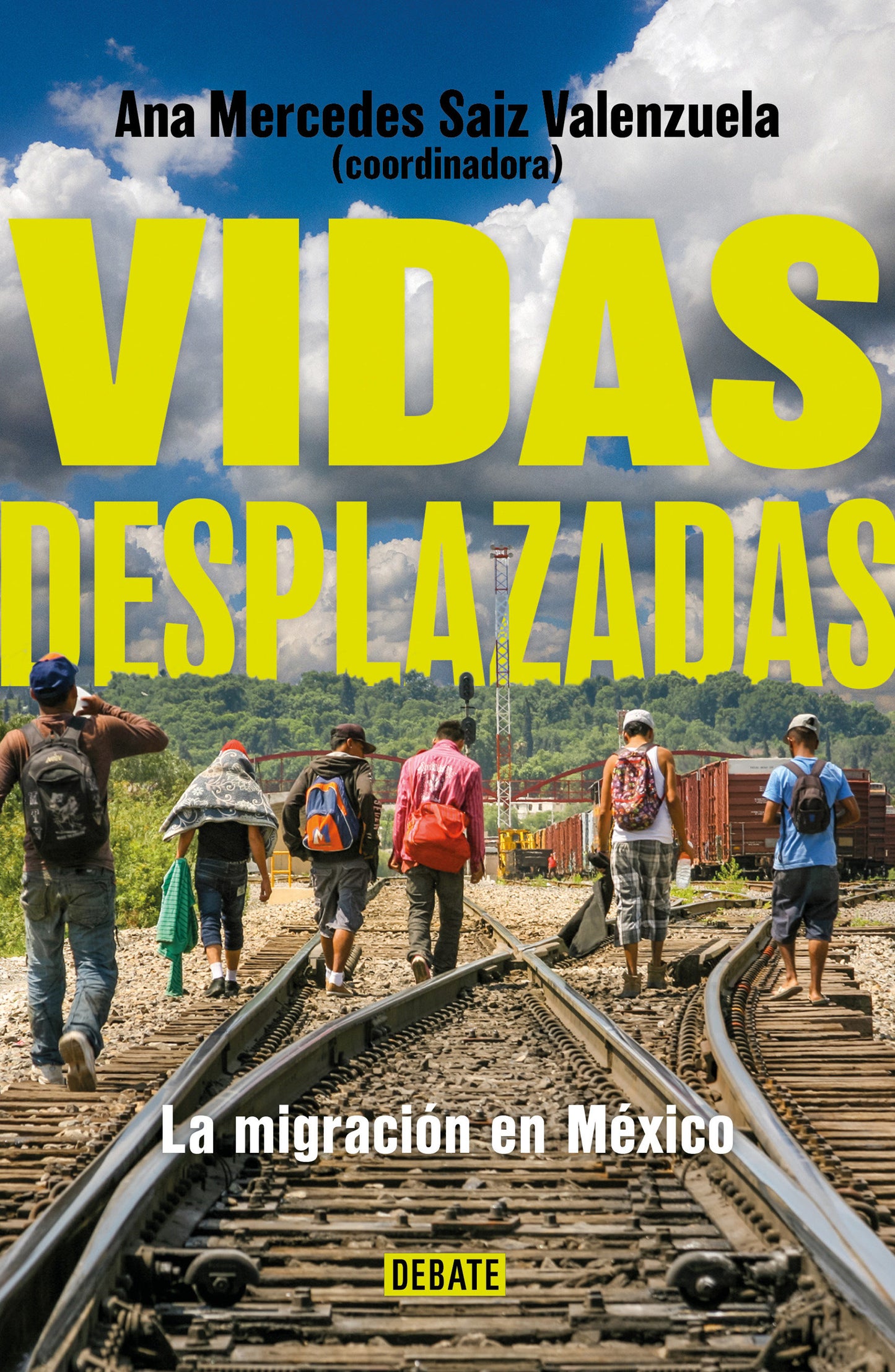 Vidas desplazadas: La migraci�n en M�xico / Displaced Lives. The History of Migration in Mexico
