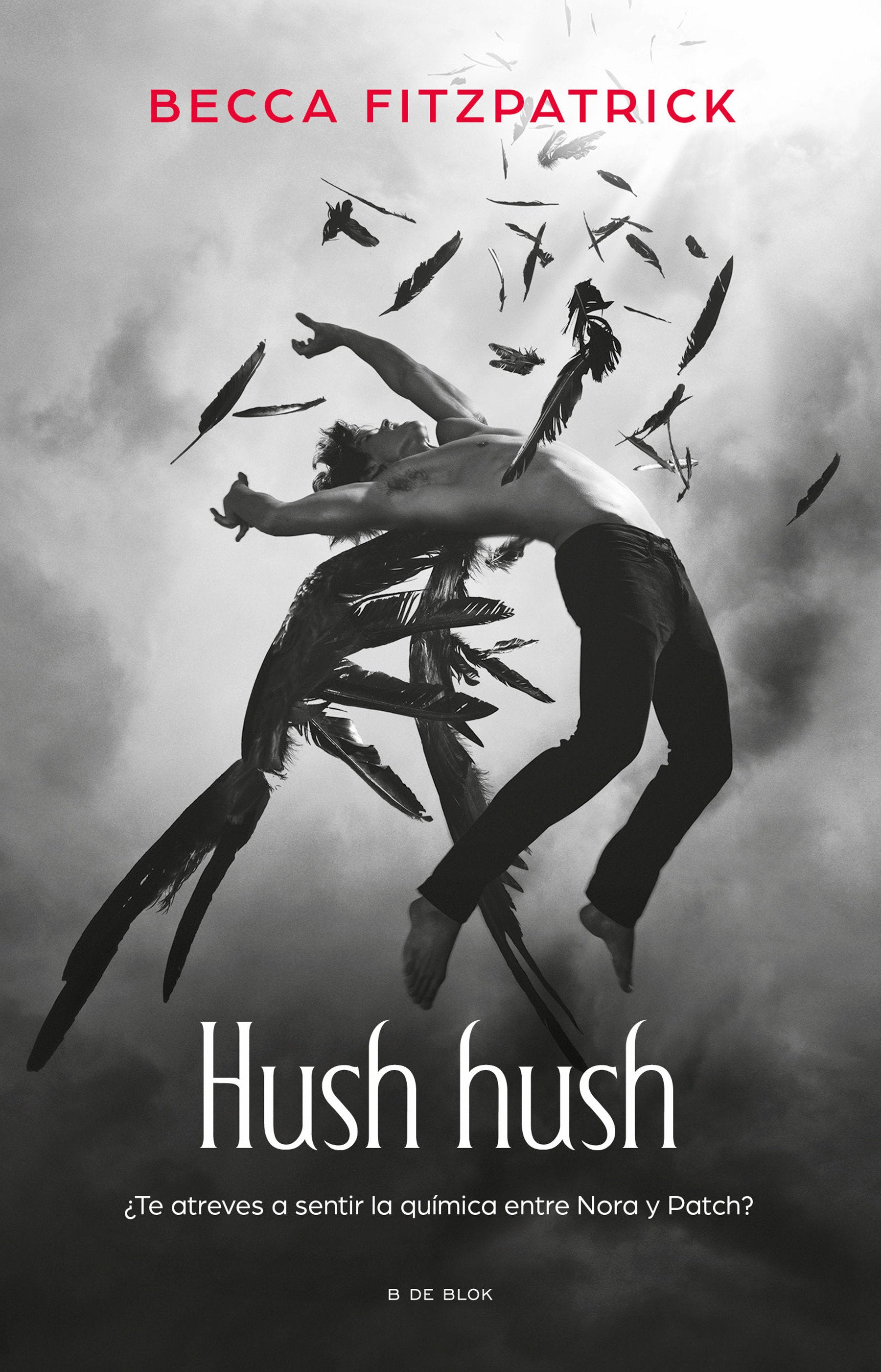 Hush Hush (Spanish Edition) (Hush, Hush Trilogy) (Book:1)