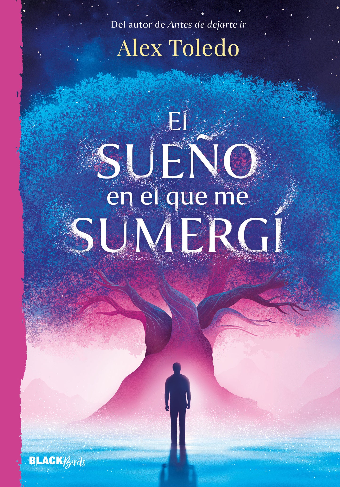 El sue�o en el que me sumerg� / The Dream I Was Immersed in