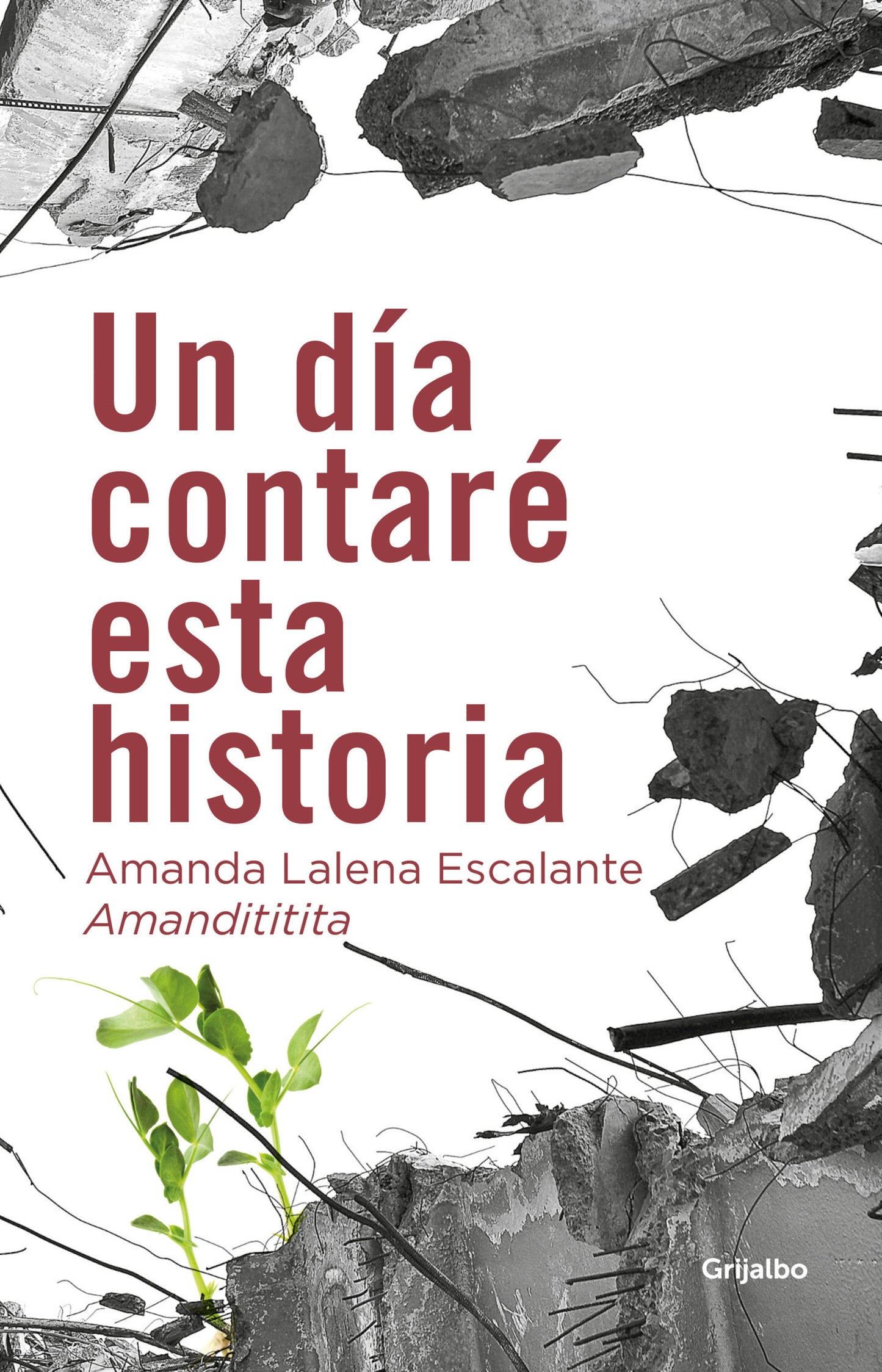 Un día contaré esta historia / One Day I Will Tell This Story