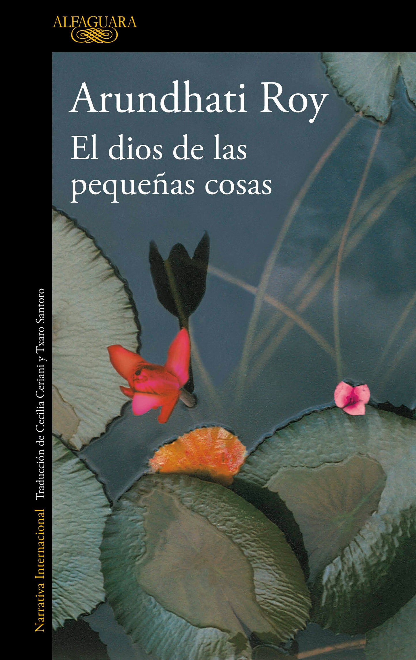 El Dios de las peque�as cosas / The God of Small Things