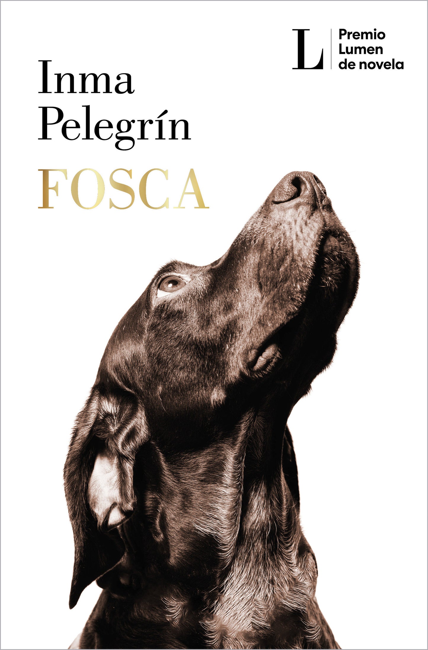 Focsa (PREMIO LUMEN 2025) / Gloomy (2025 LUMEN AWARD)