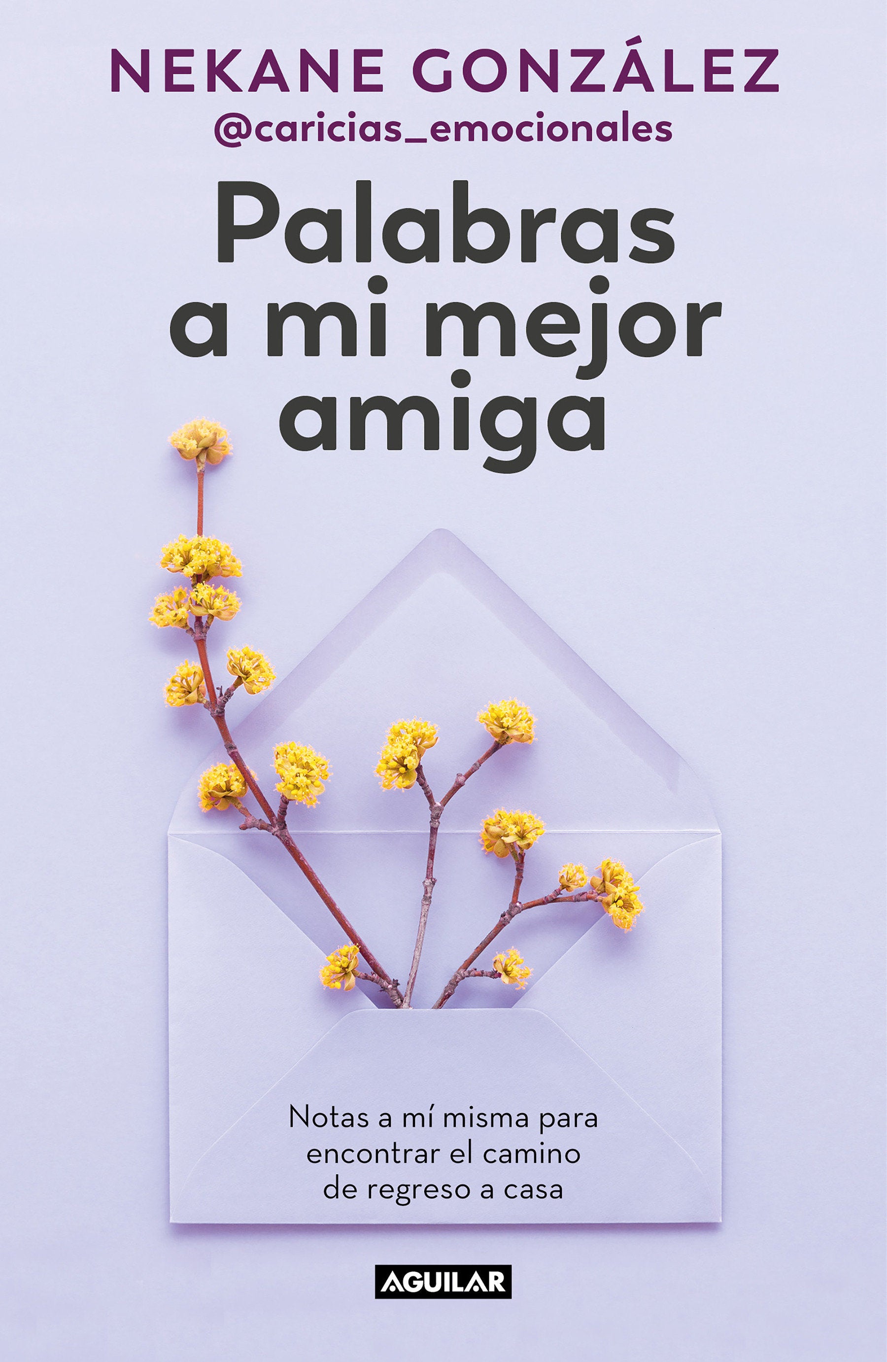 Palabras a mi mejor amiga. Notas a m� misma para encontrar el camino de regreso a casa / Words to My Best Friend. Self-Help Writing to Find my Way Back Home