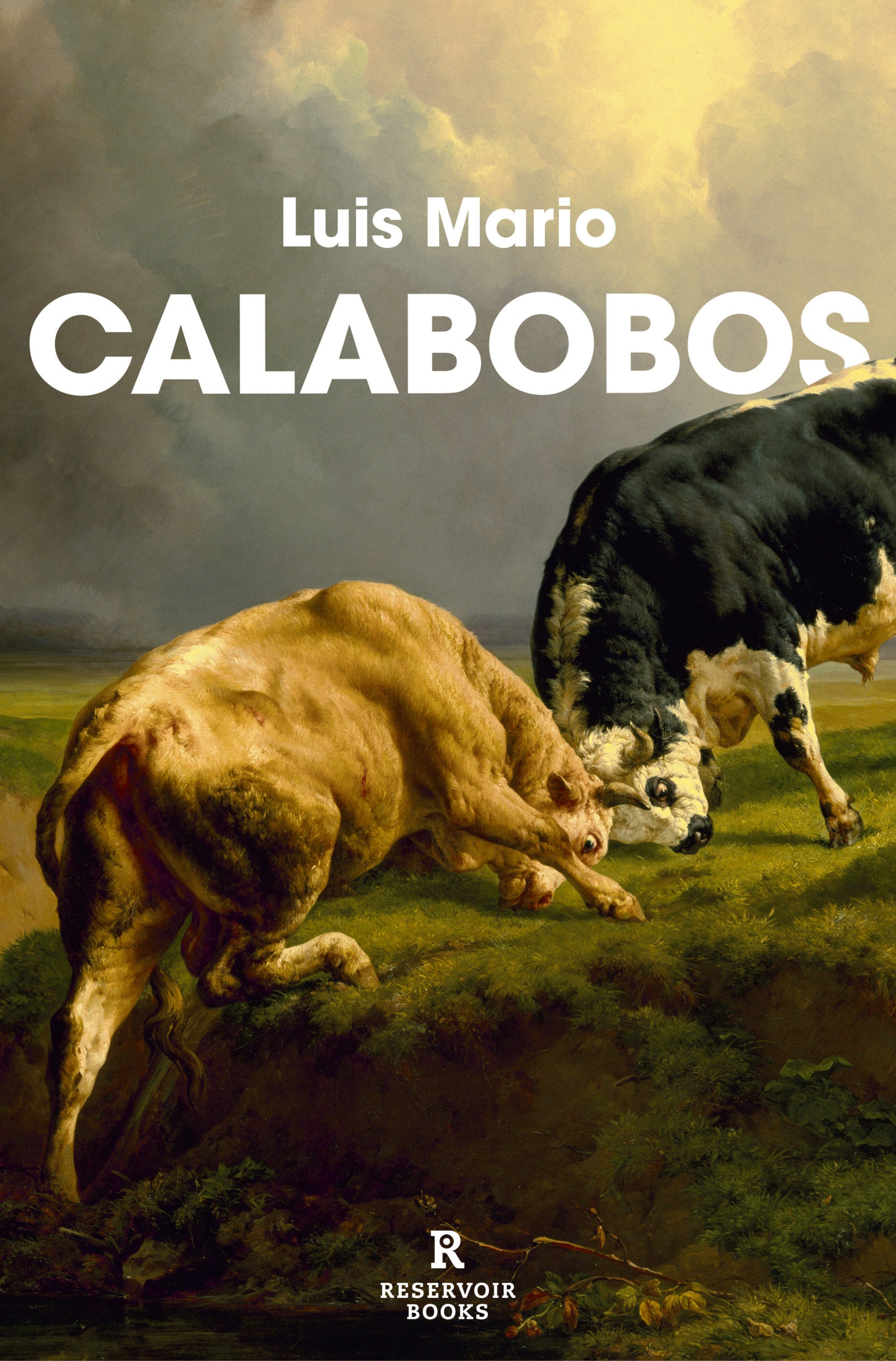 Calabobos / Drizzle