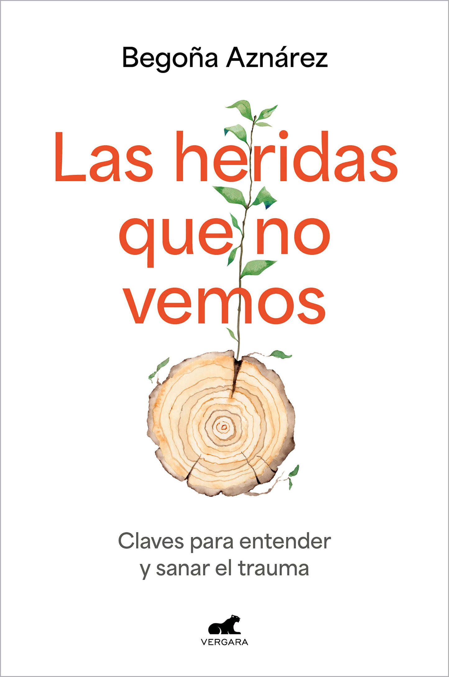Las heridas que no vemos / The Wounds We Don�t See