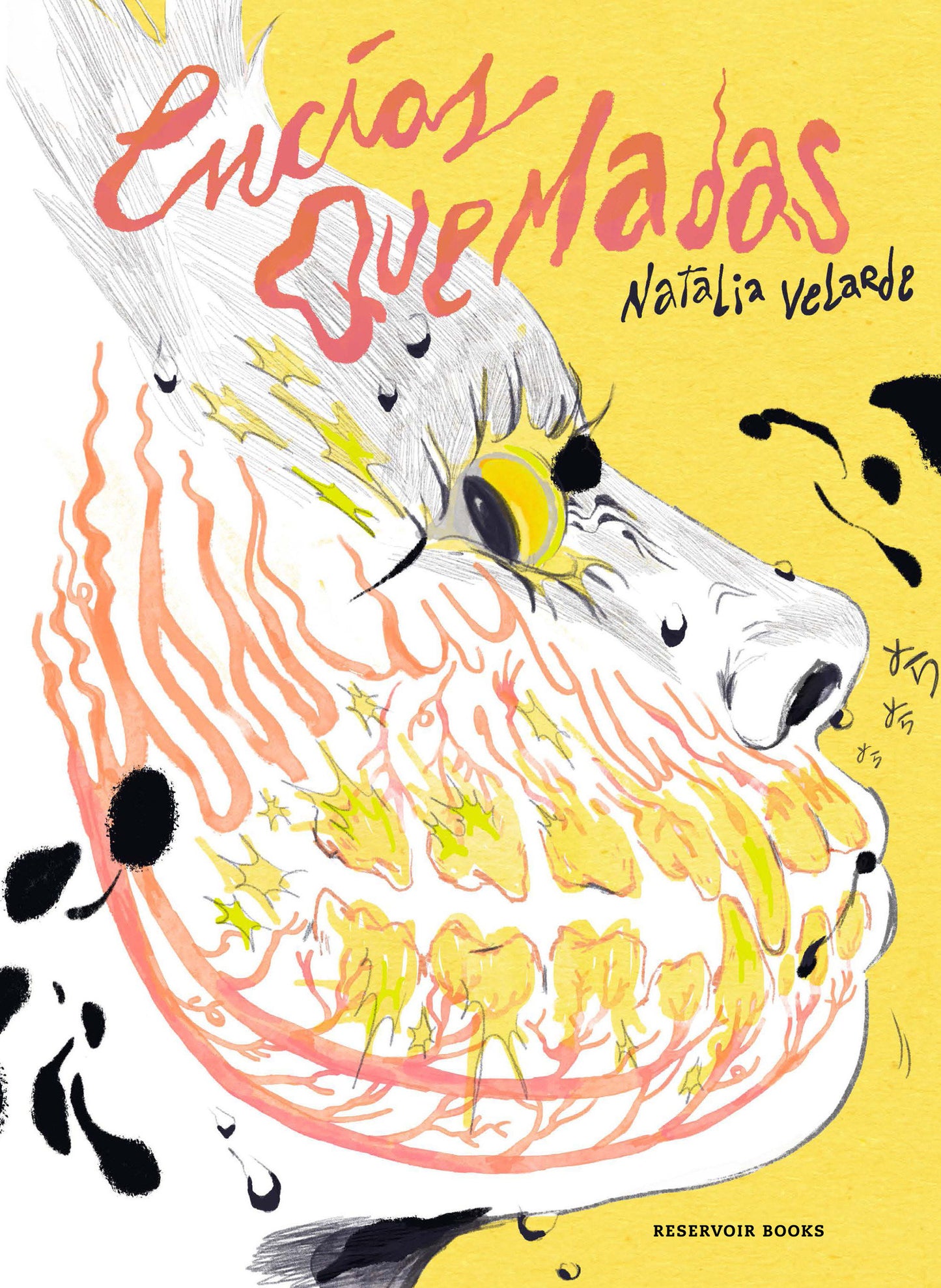 Encías quemadas / Burnt Gums