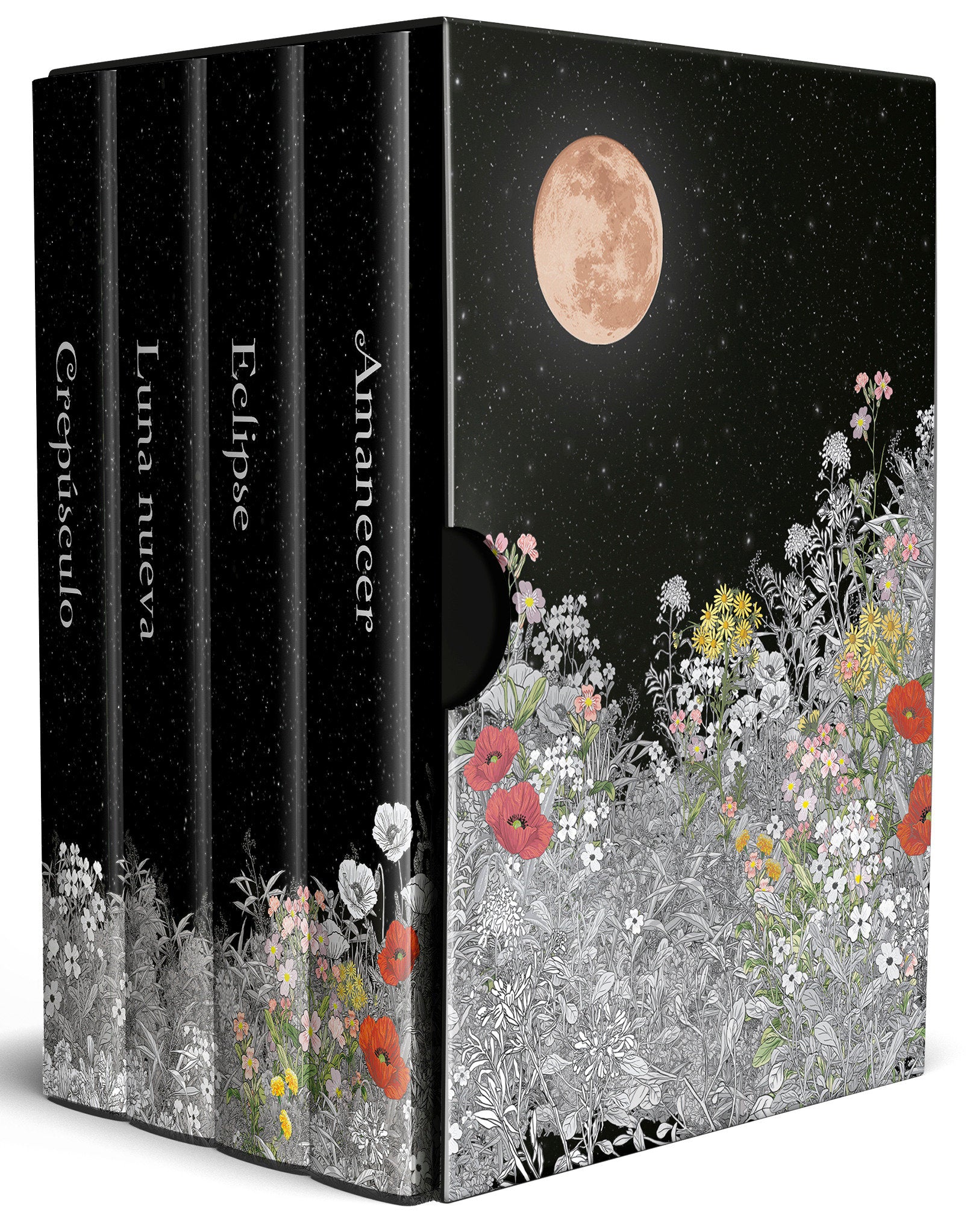 Estuche Saga Crep�sculo (contiene: Crep�sculo, Luna nueva, Eclipse y Amanecer) / Twilight Saga Box Set (La Saga Crepusculo / The Twilight Saga)