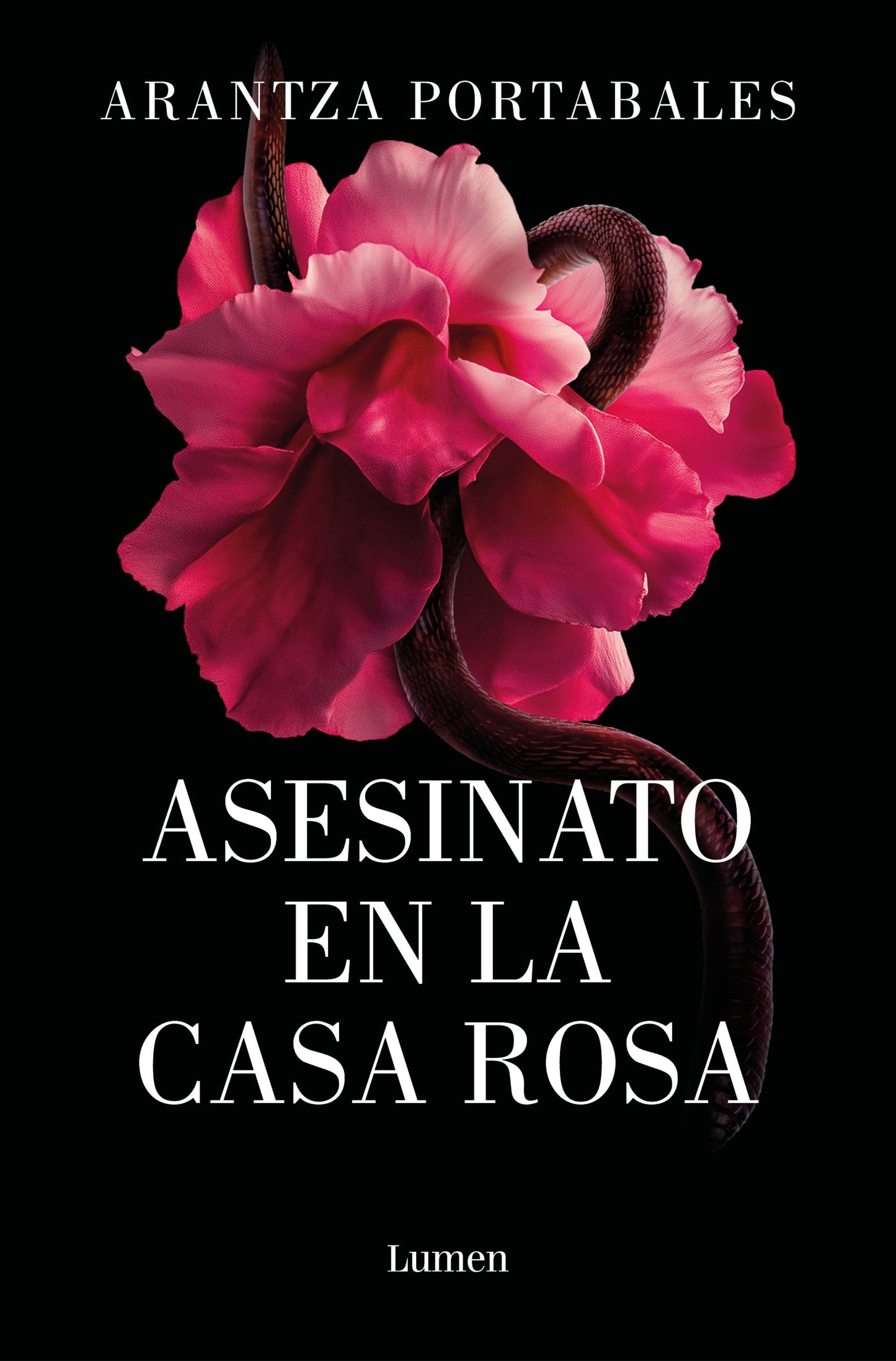 Asesinato en la Casa Rosa / Murder in the Pink House (Crímenes De Loeiro, Los)