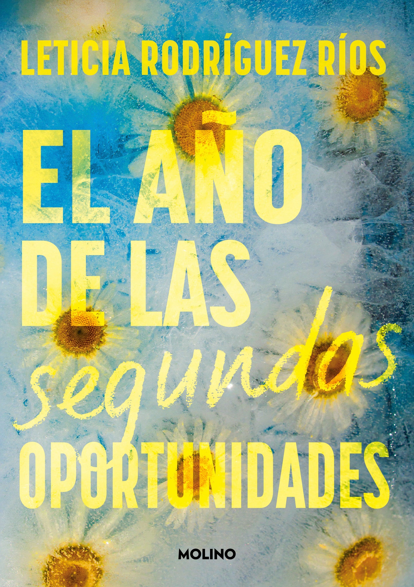 El a�o de las segundas oportunidades / The Year of Second Chances
