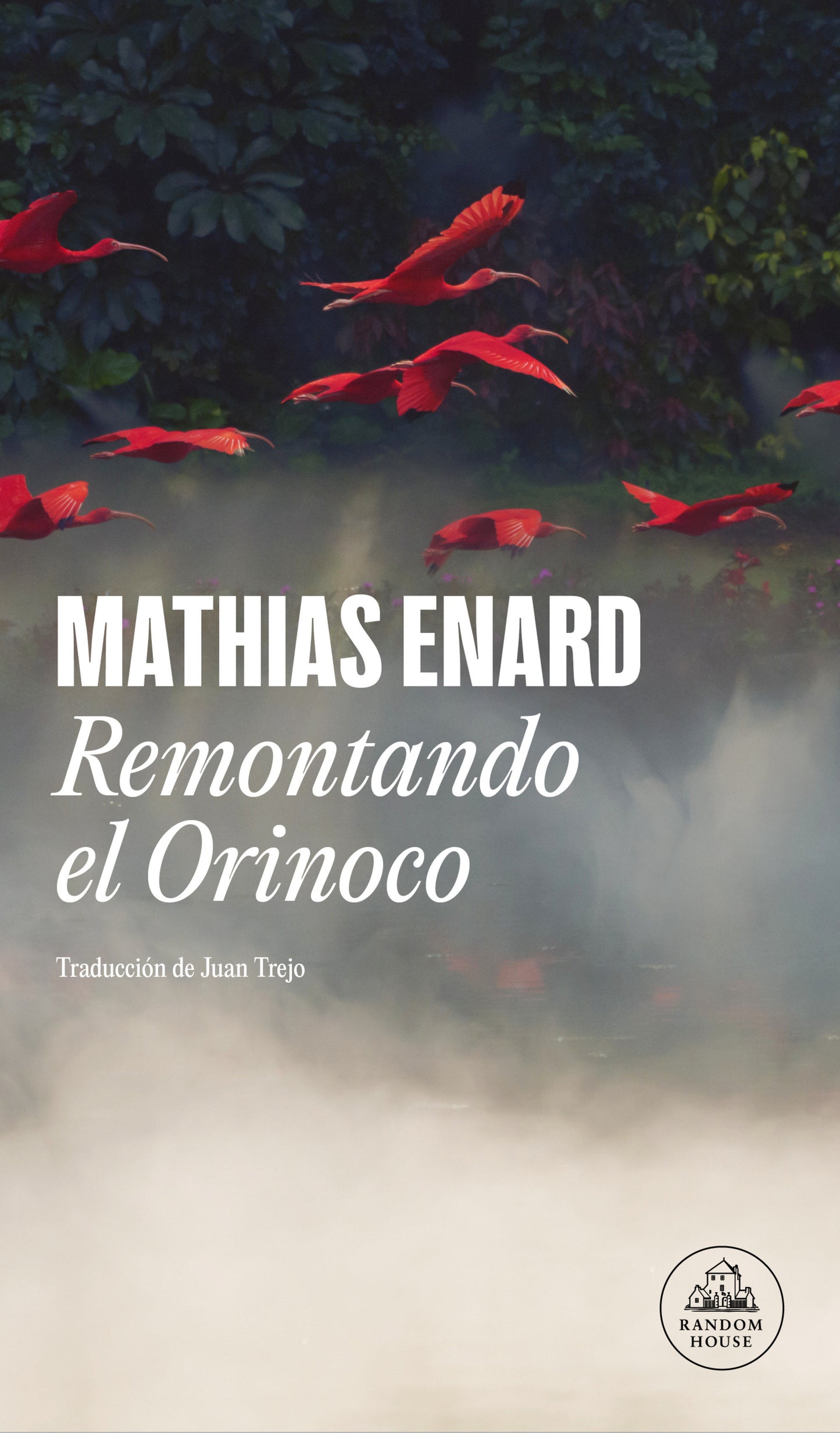 Remontando el Orinoco / Voyage Up the Orinoco