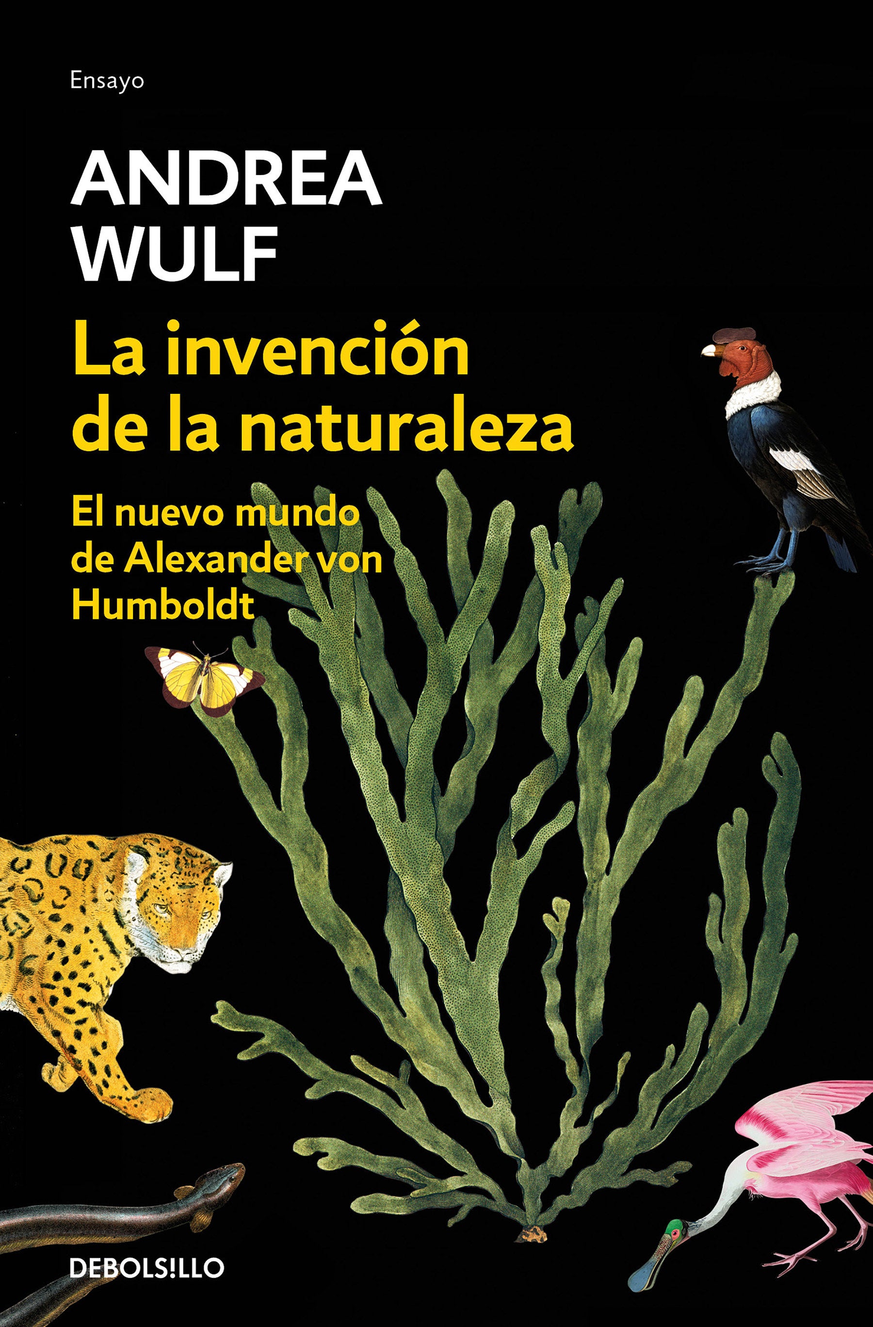 La invenci�n de la naturaleza: El nuevo mundo de Alexander Von Humbolt / The Invention of Nature: Alexander Von Humbolt's New World
