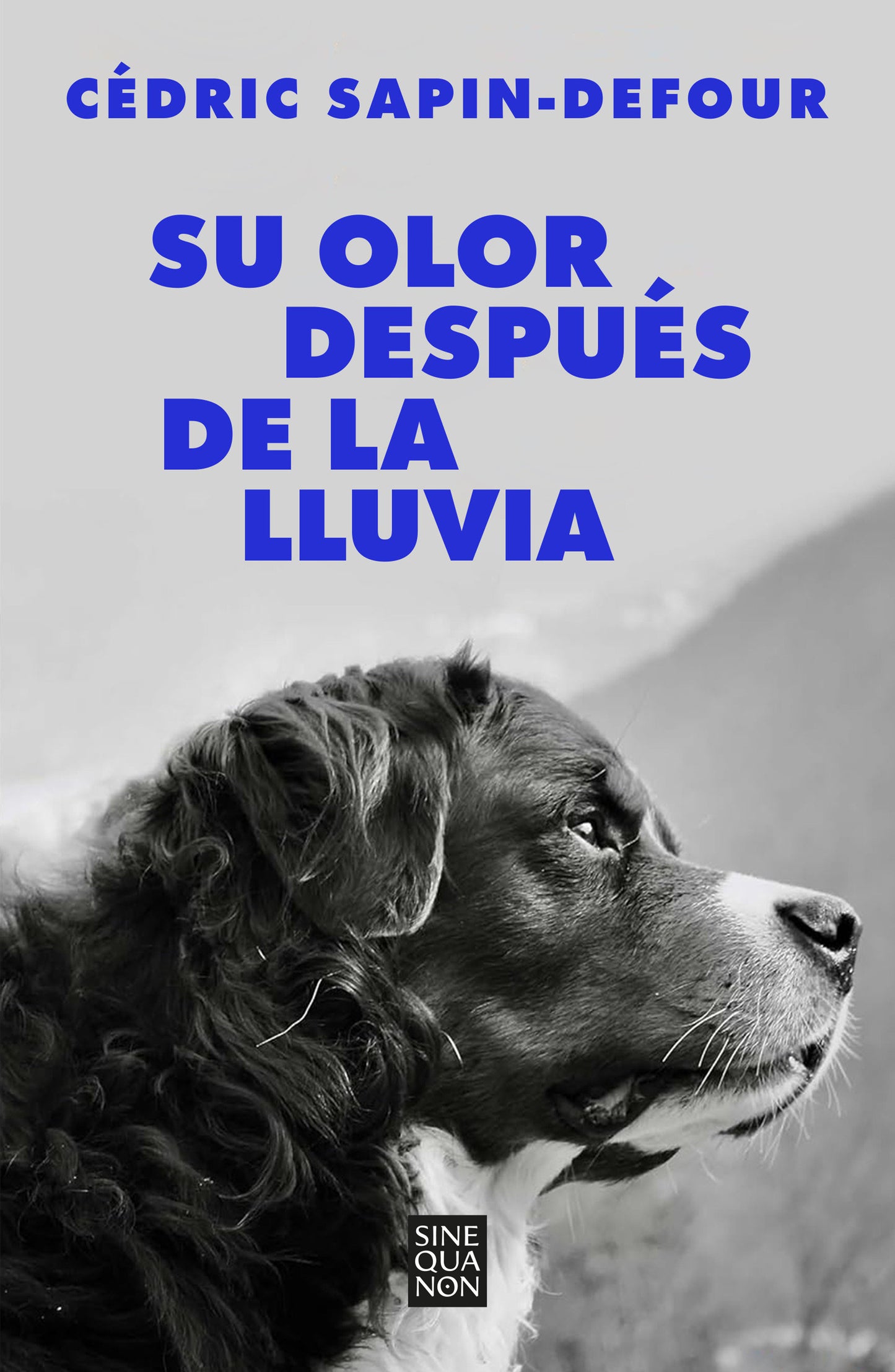Su olor despu�s de la lluvia / Her Smell After the Rain