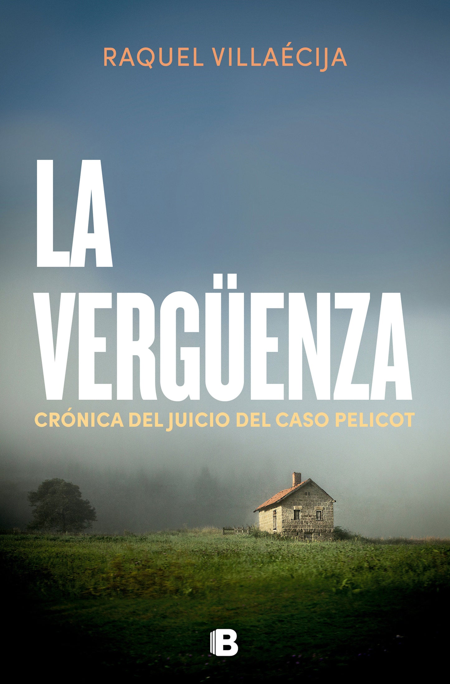 La verg�enza / The Shame