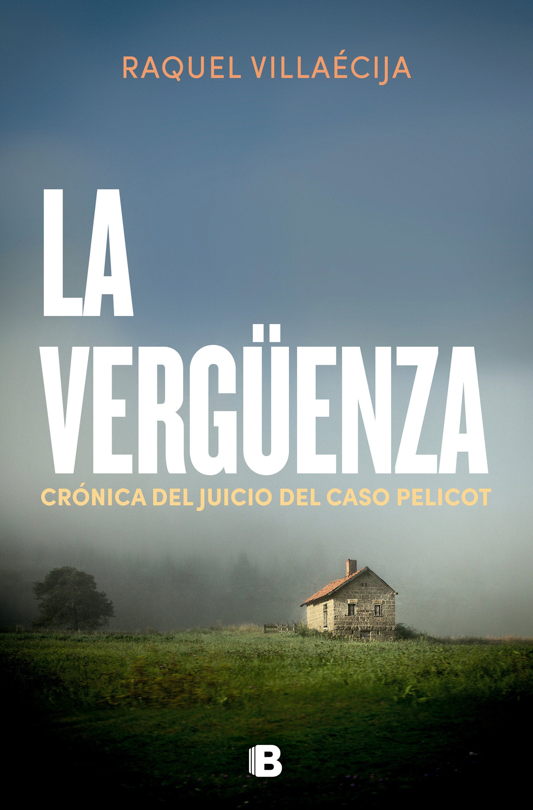La verg�enza / The Shame