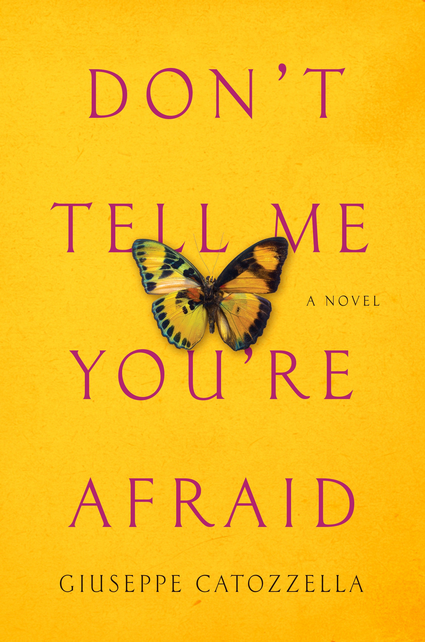 Don't Tell Me You're Afraid - A Novel