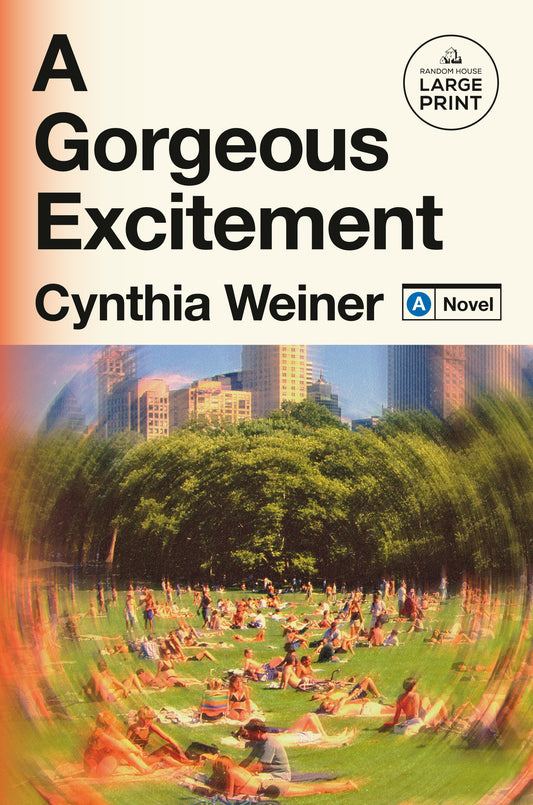 A Gorgeous Excitement - A Novel