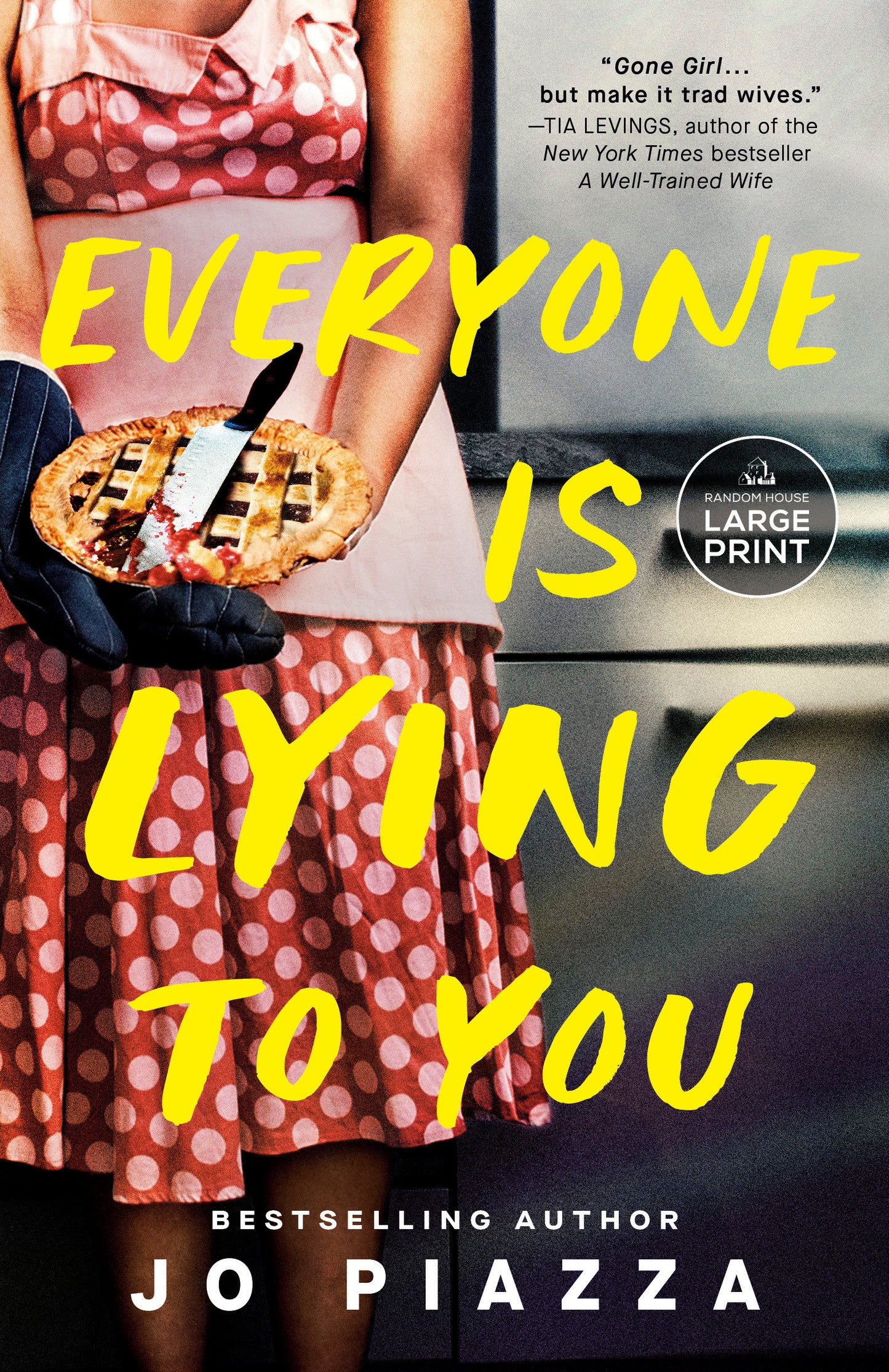 Everyone Is Lying to You - A Thriller