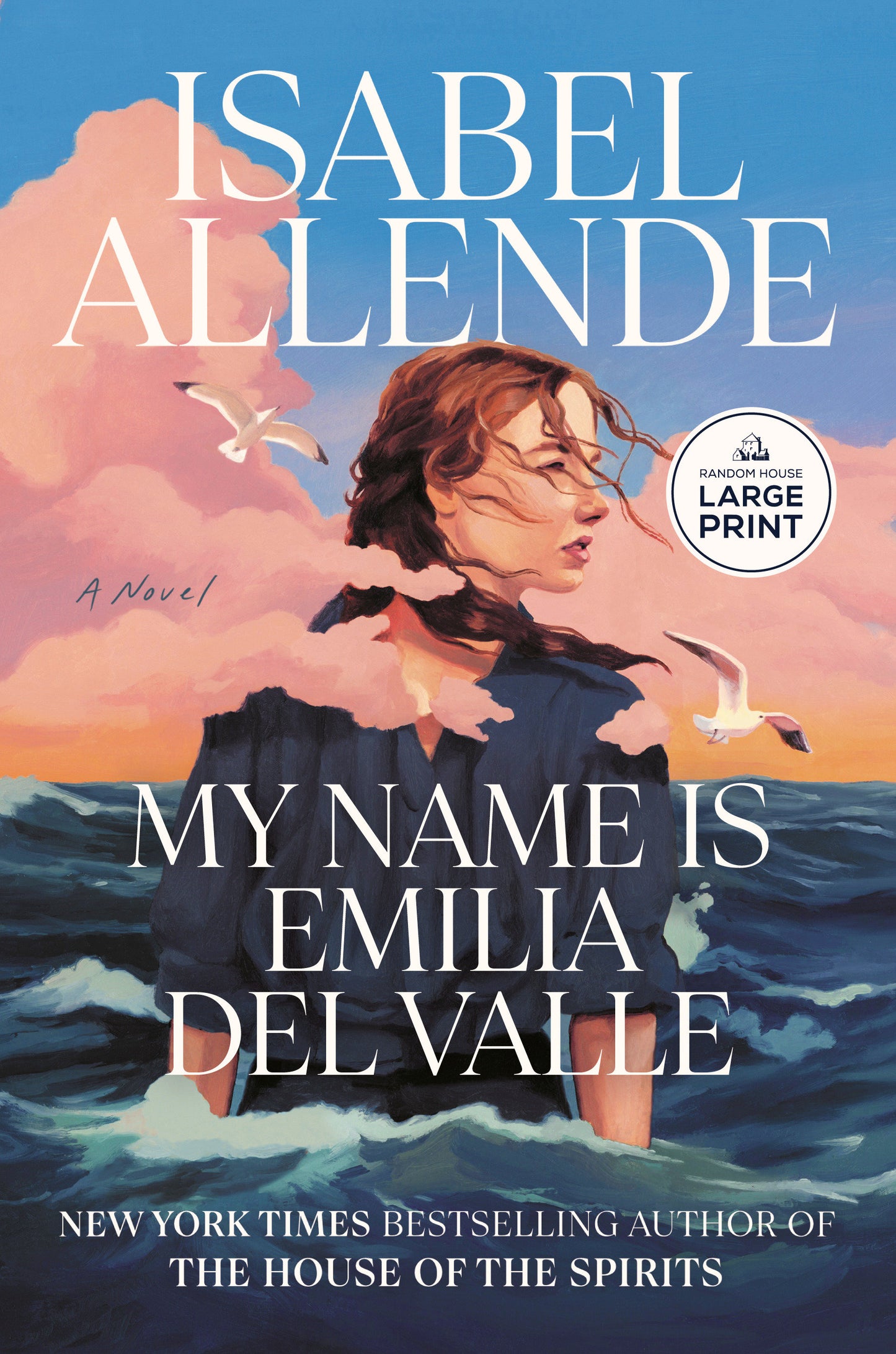 My Name Is Emilia del Valle - A Novel