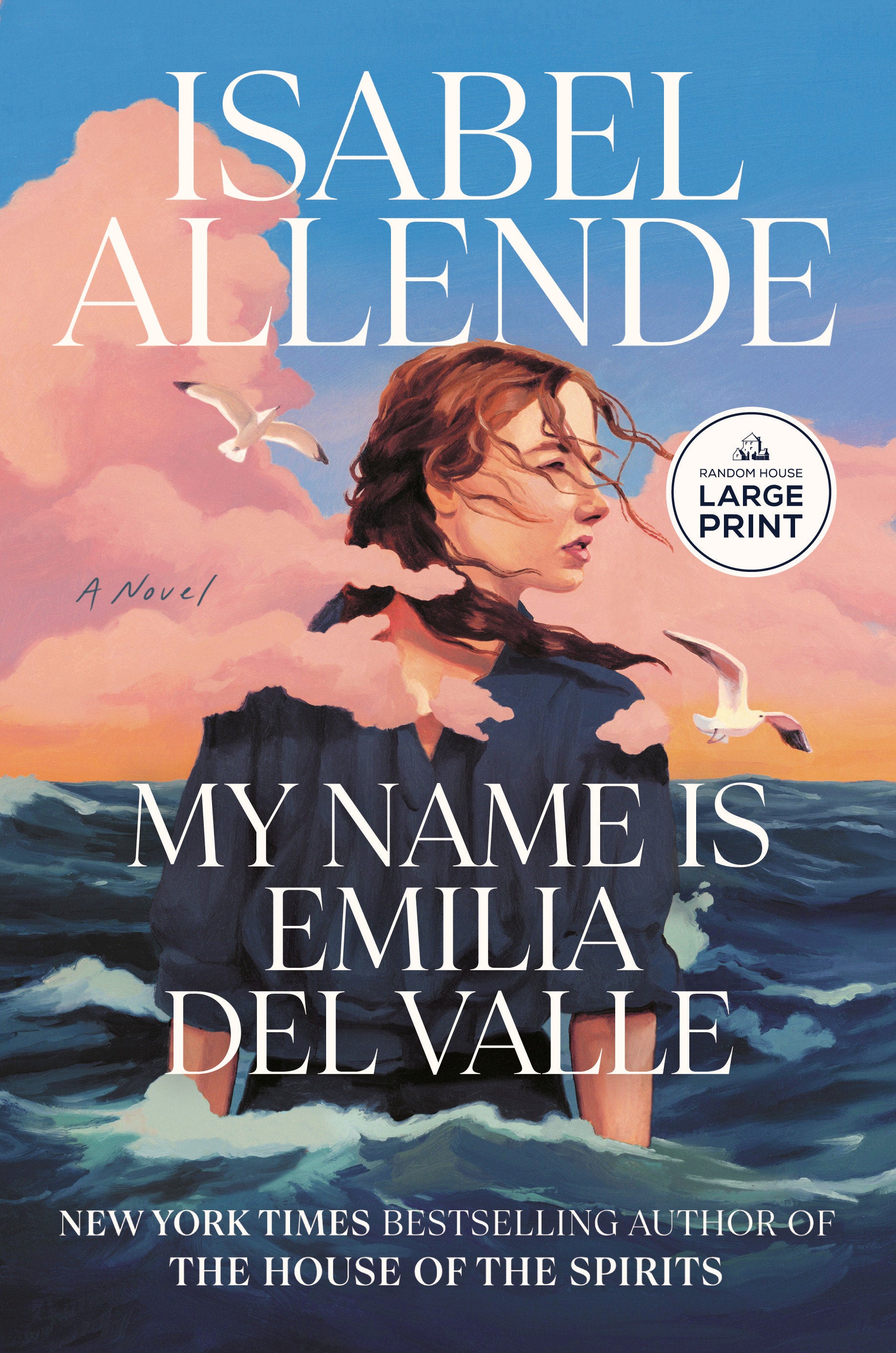 My Name Is Emilia del Valle - A Novel