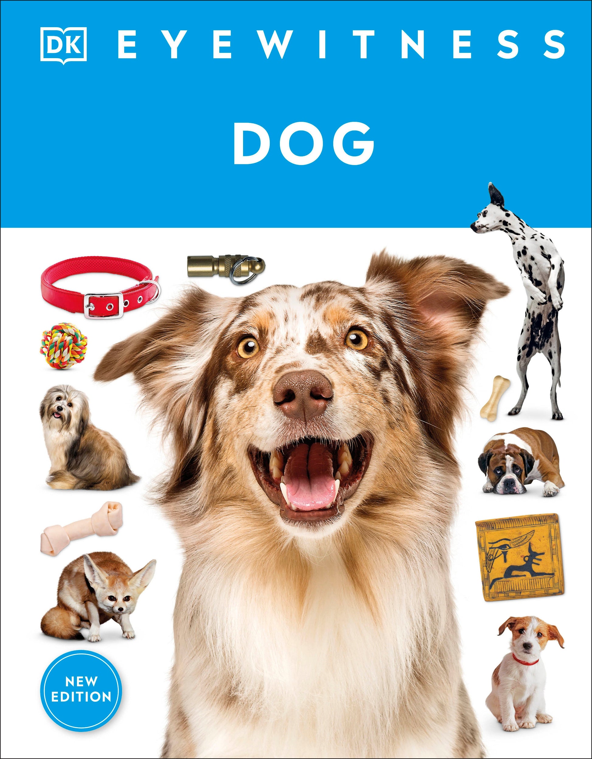 Eyewitness Dog (DK Eyewitness)