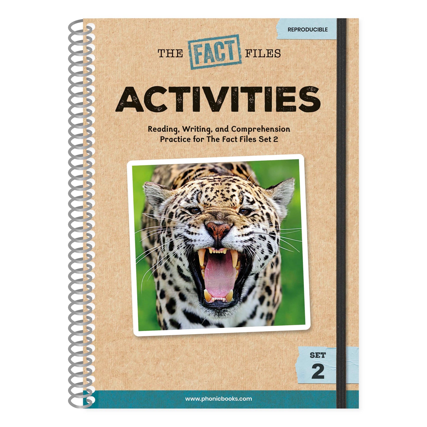 Phonic Books The Fact Files 2 Activities - Consonant blends and digraphs, and alternative spellings for vowel sounds (Phonic Books Catch-Up Decodable Readers)
