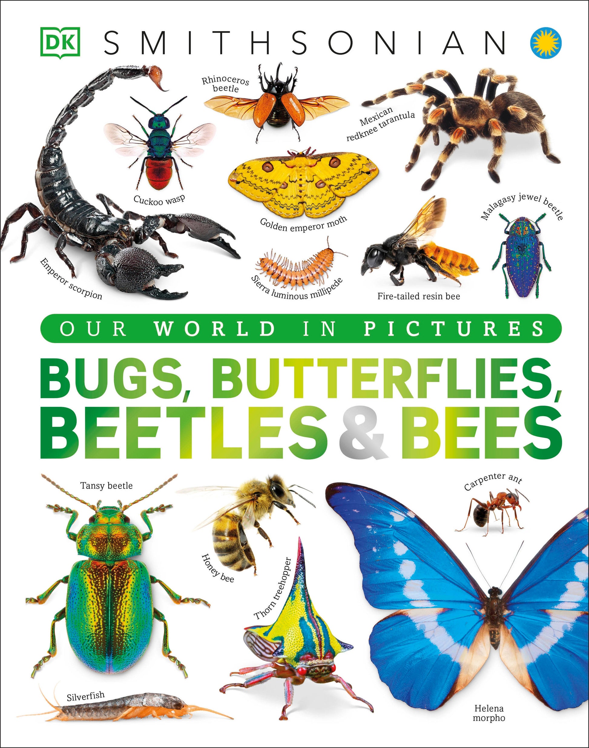 Our World in Pictures Bugs, Butterflies, Beetles and Bees (DK Our World in Pictures)