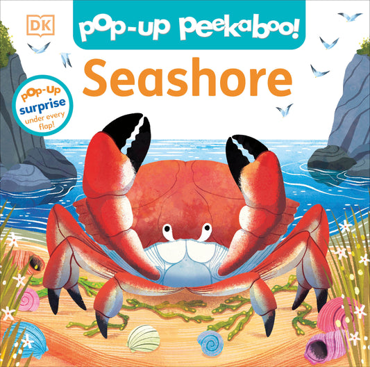 Pop-Up Peekaboo! Seashore (Pop-Up Peekaboo!)