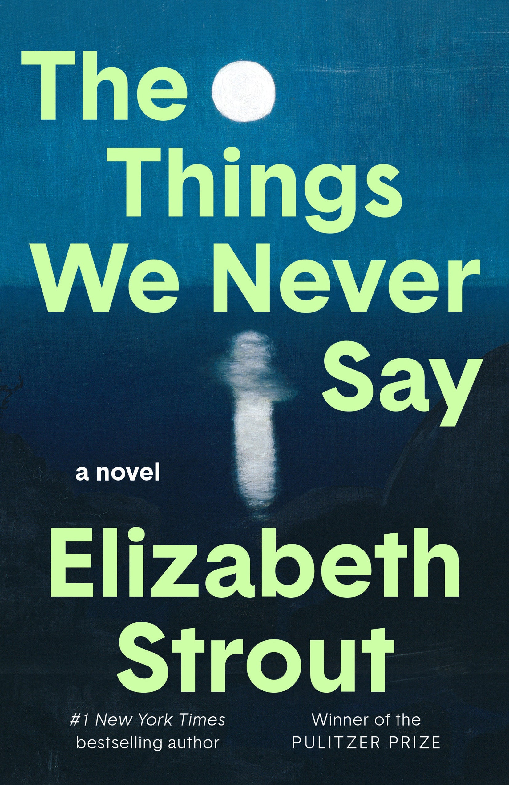 The Things We Never Say - A Novel