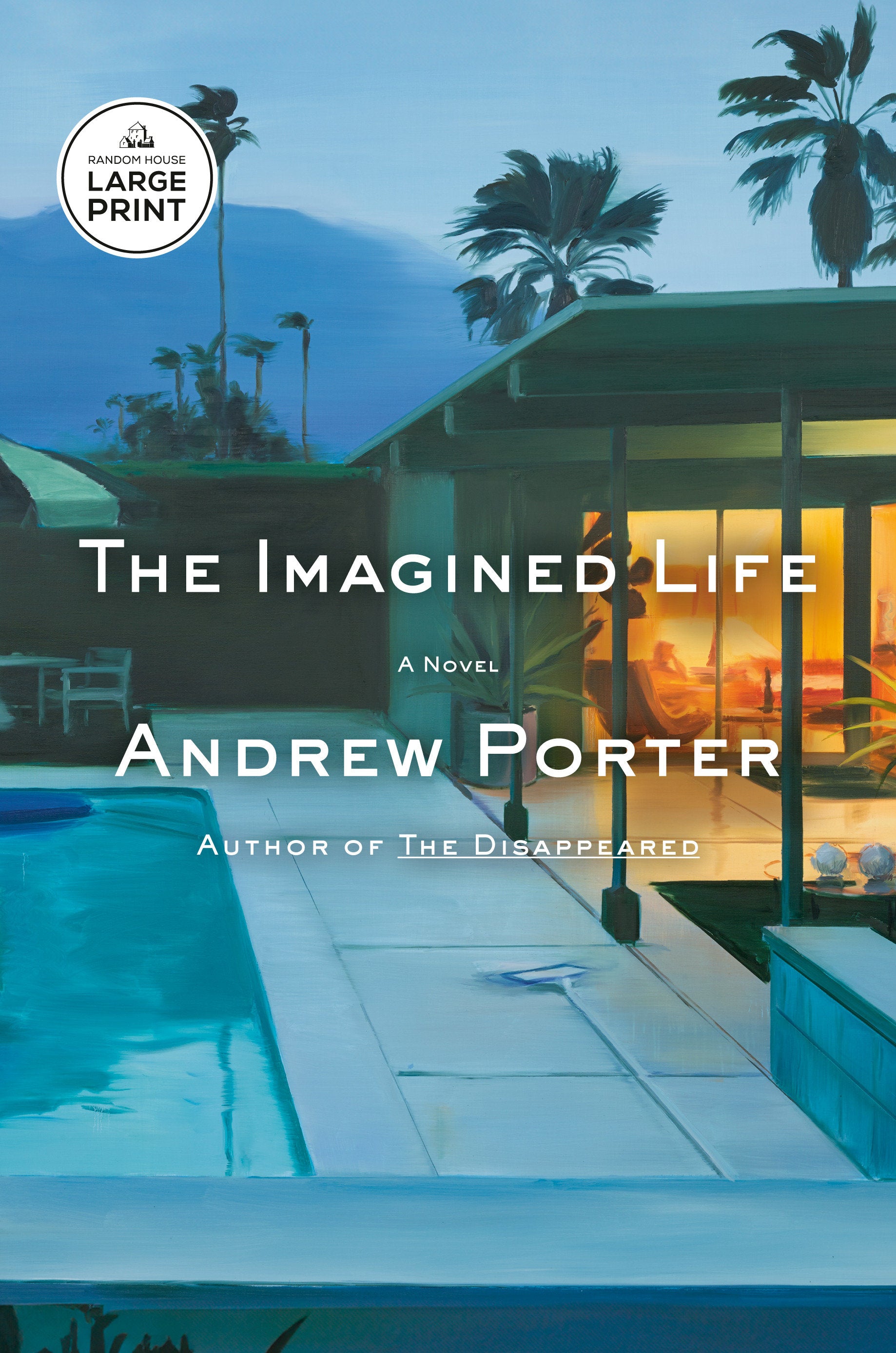The Imagined Life - A Novel
