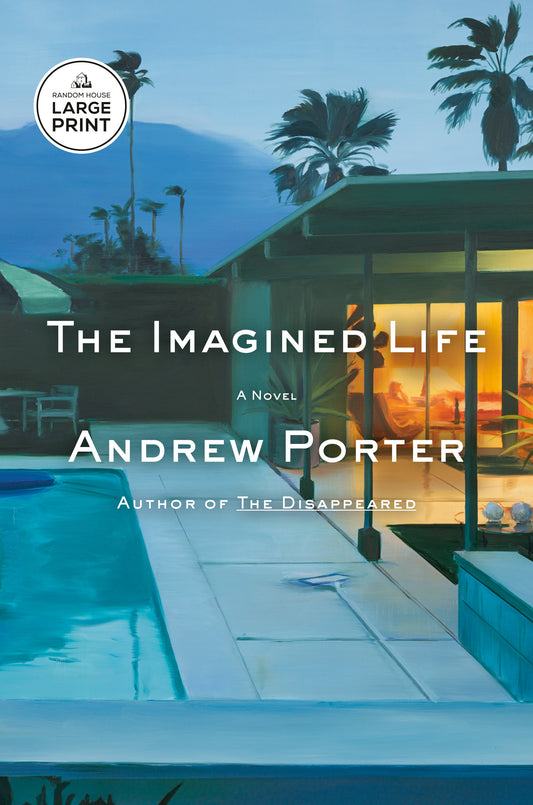 The Imagined Life - A Novel