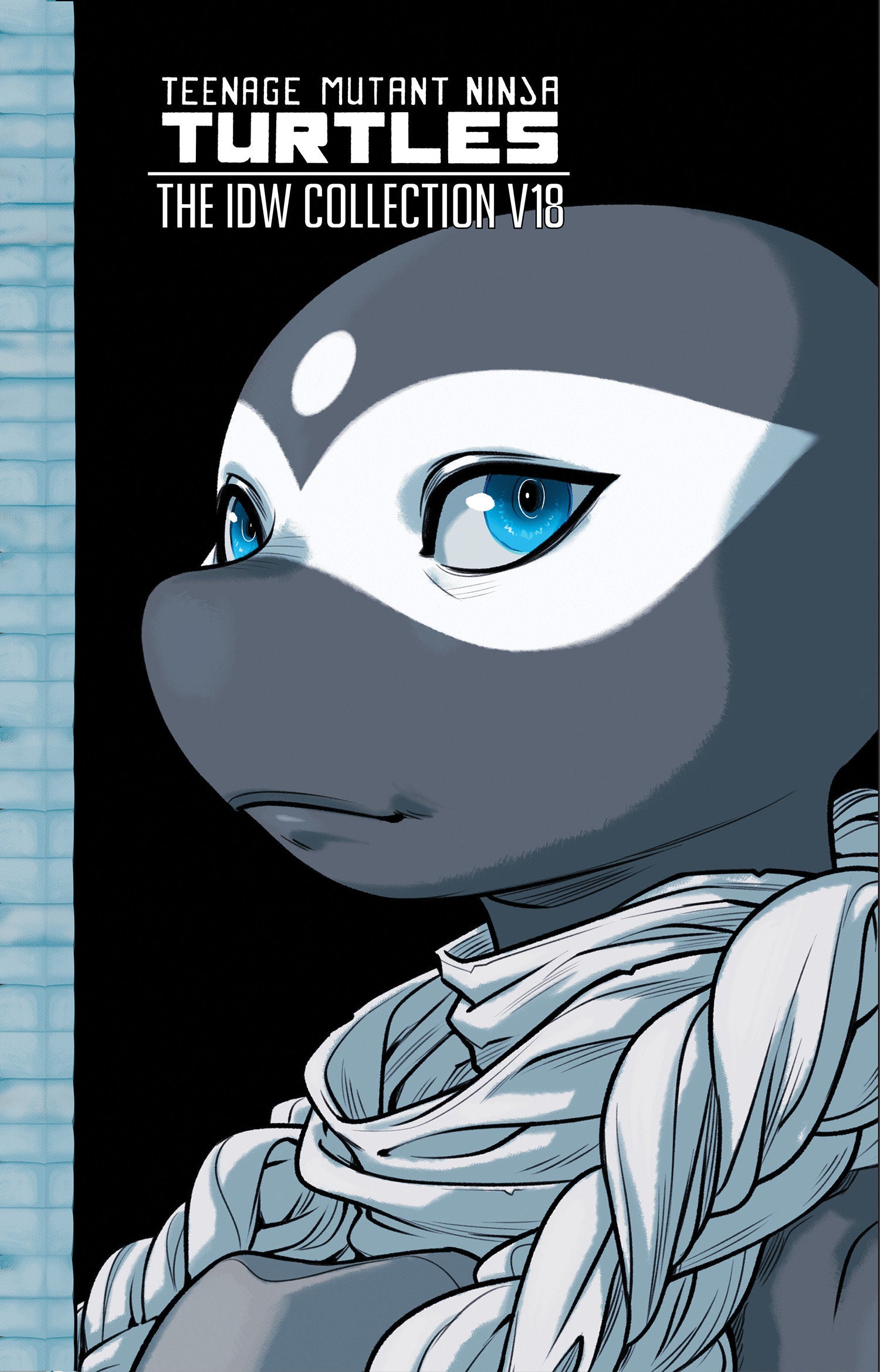 Teenage Mutant Ninja Turtles: The IDW Collection, Volume 18 (TMNT IDW Collection) (Book:18)