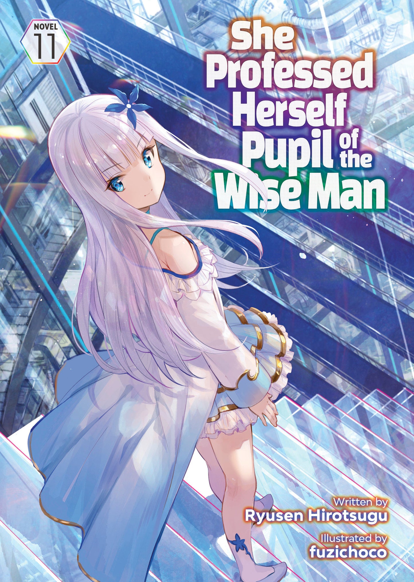 She Professed Herself Pupil of the Wise Man (Light Novel) Vol. 11 (She Professed Herself Pupil of the Wise Man (Light Novel)) (Book:11)