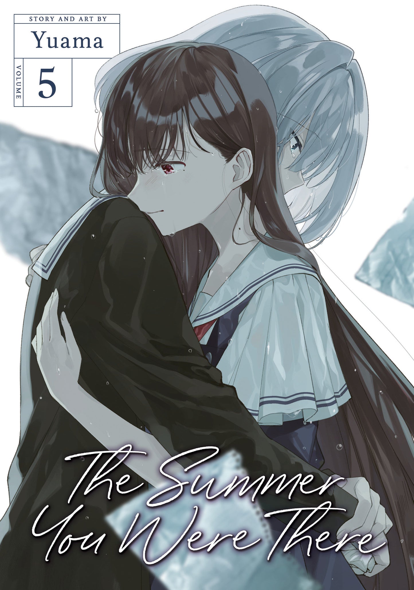 The Summer You Were There Vol. 5 (The Summer You Were There) (Book:5)