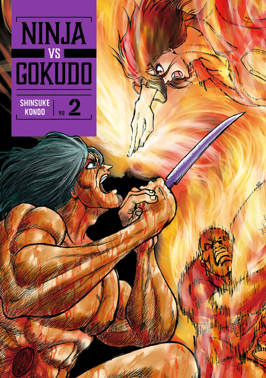 Ninja Vs. Gokudo 2 (Ninja Vs. Gokudo) (Book:2)