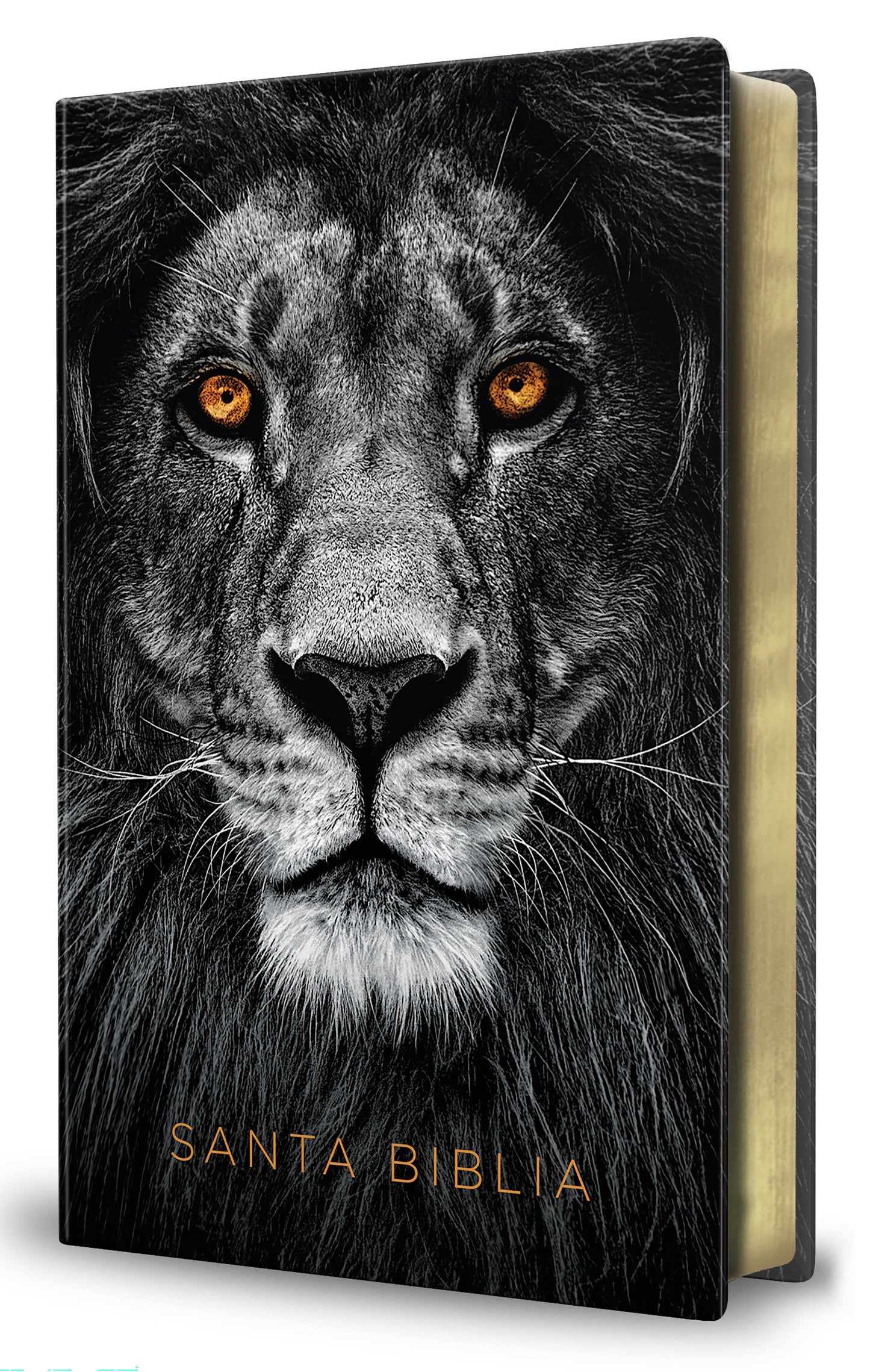 Biblia RVR 1960 letra grande tama�o manual, s�mil piel Le�n de Juda / Spanish Bible RVR 1960 Handy Size Large Print imitation leather Lion of Judah