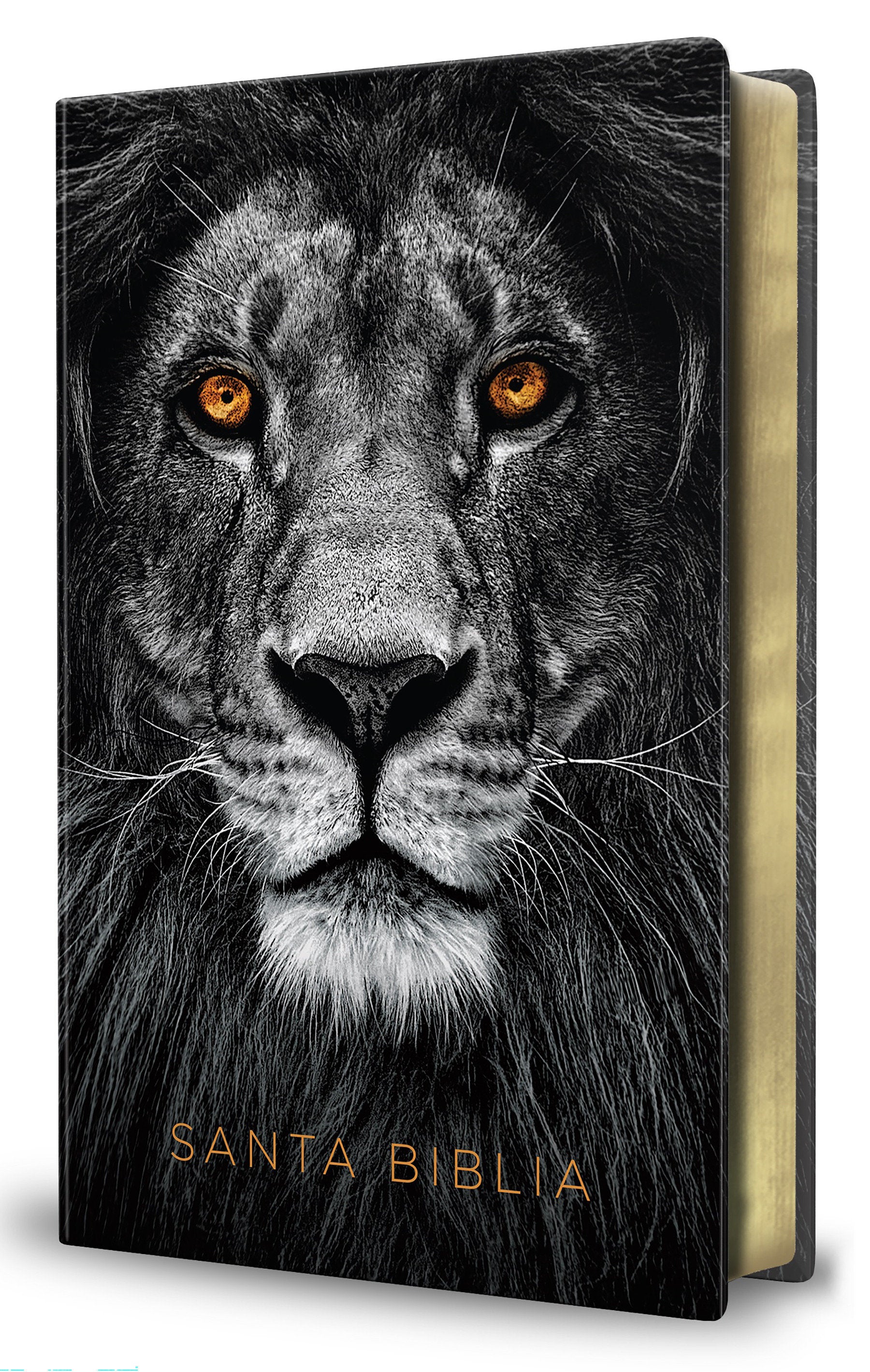 Biblia RVR 1960 letra grande tama�o manual, s�mil piel Le�n de Juda / Spanish Bible RVR 1960 Handy Size Large Print imitation leather Lion of Judah