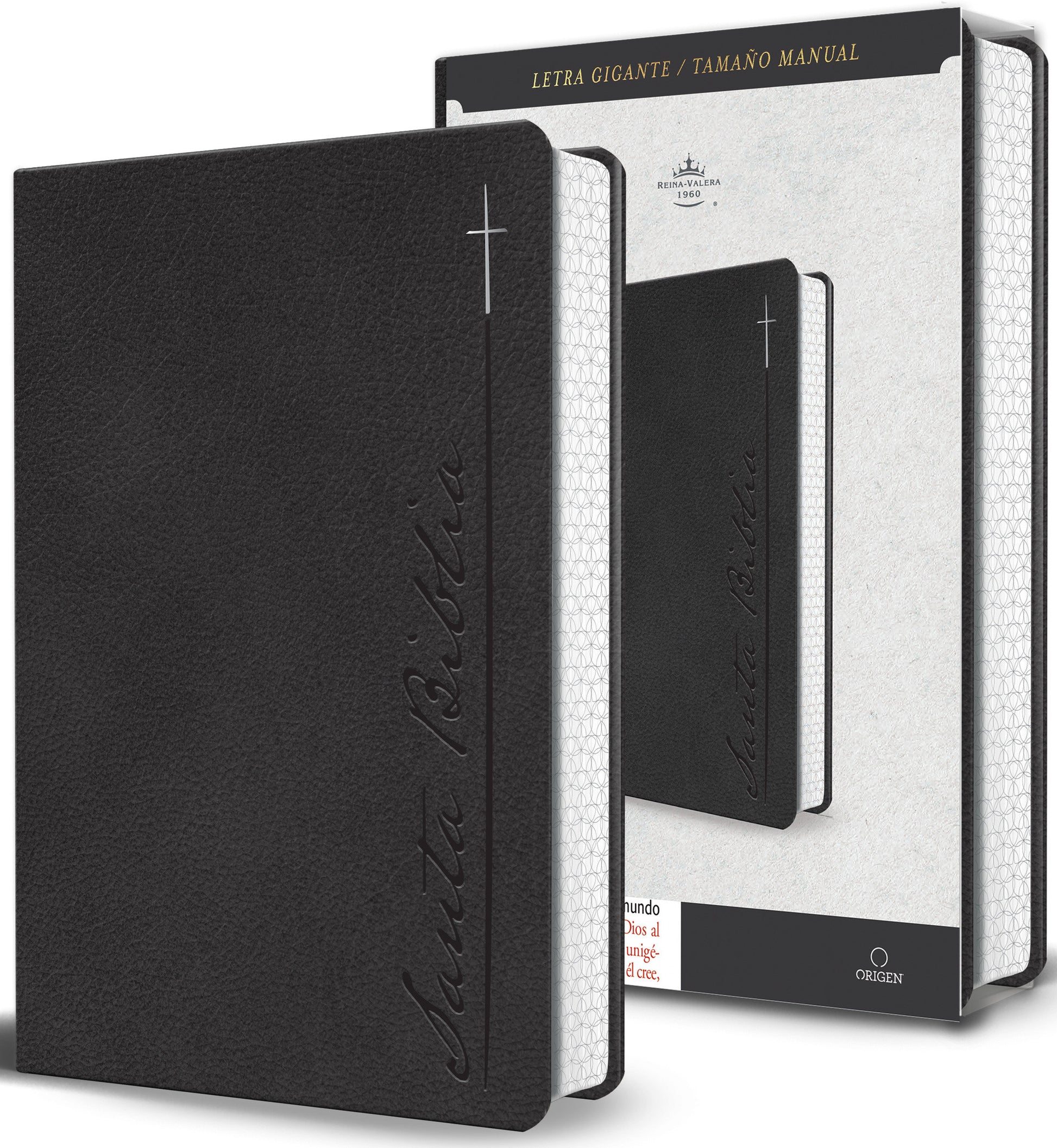 Biblia RVR 1960 Letra gigante, s�mil piel, gris (Edici�n cantos pintados)  / Spanish Bible RVR 1960 Giant Print Handy Size Leathersoft Gray with cross