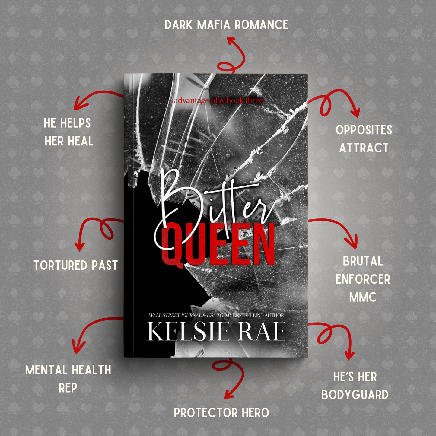 Advantage Play Series Paperback Bundle