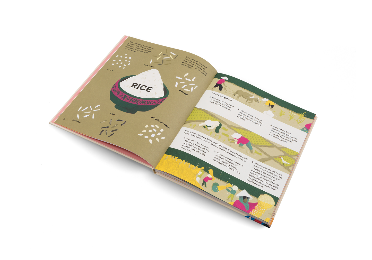 A Taste of the World