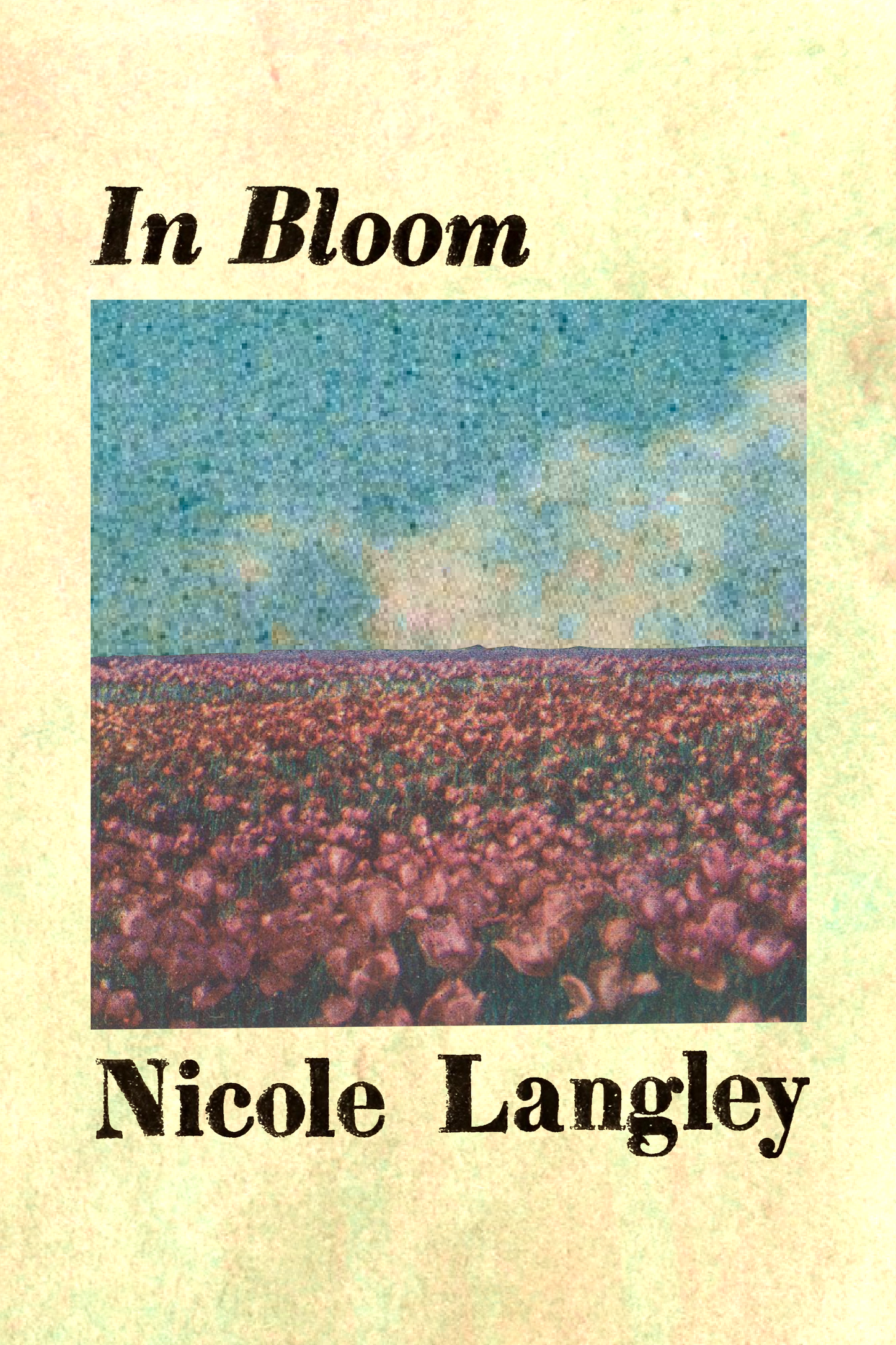 In Bloom, by Nicole Langley