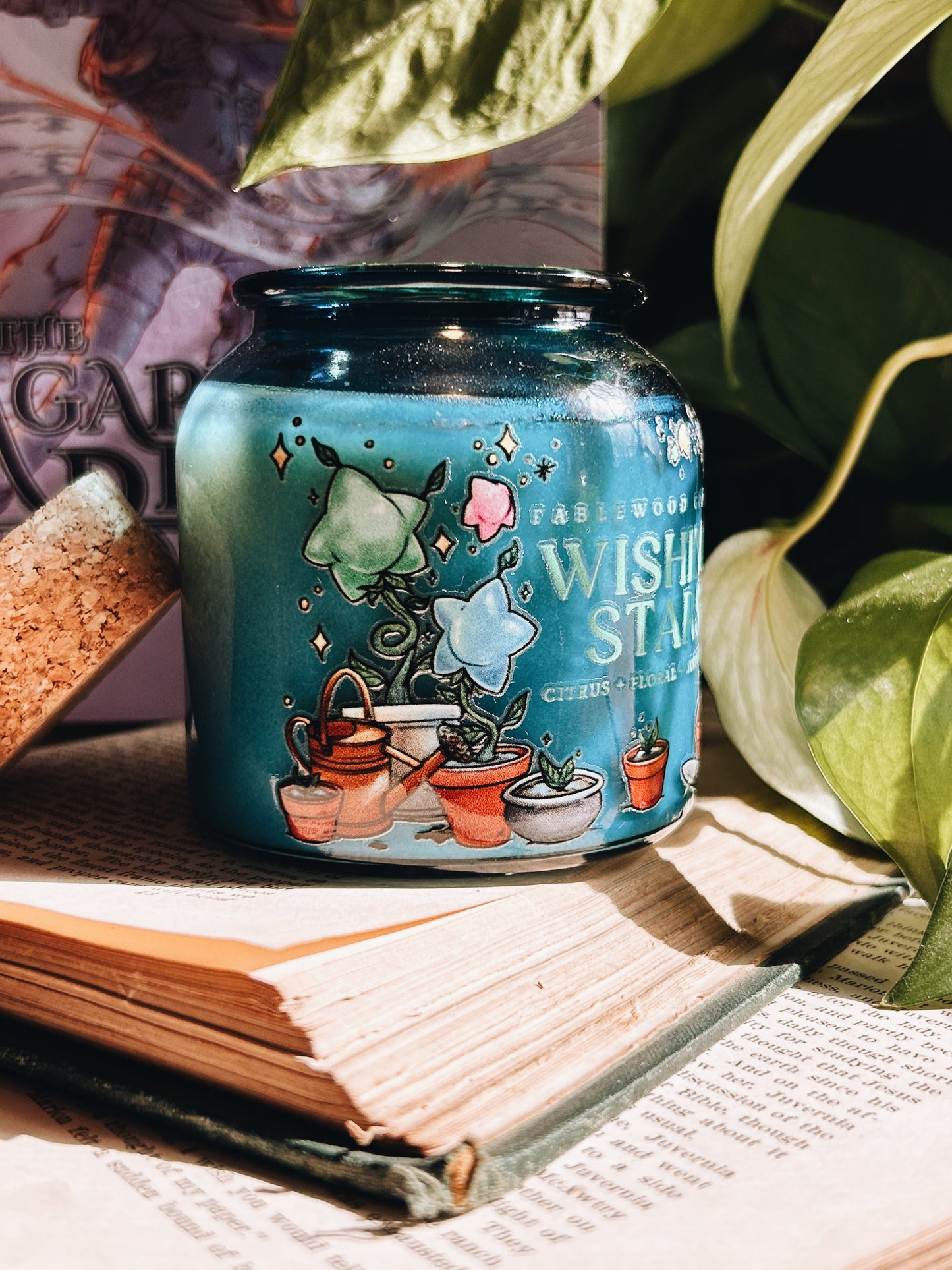 Estrellas de los deseos | Vela de soja de boticario de 237 ml