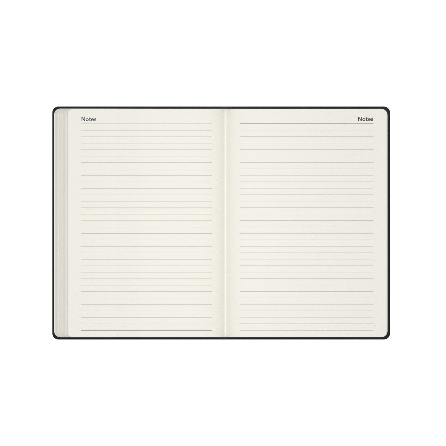 Legacy - 2026 Daily Planner - A5 Day-to-Page Diary with Appointments  (CL51-26)