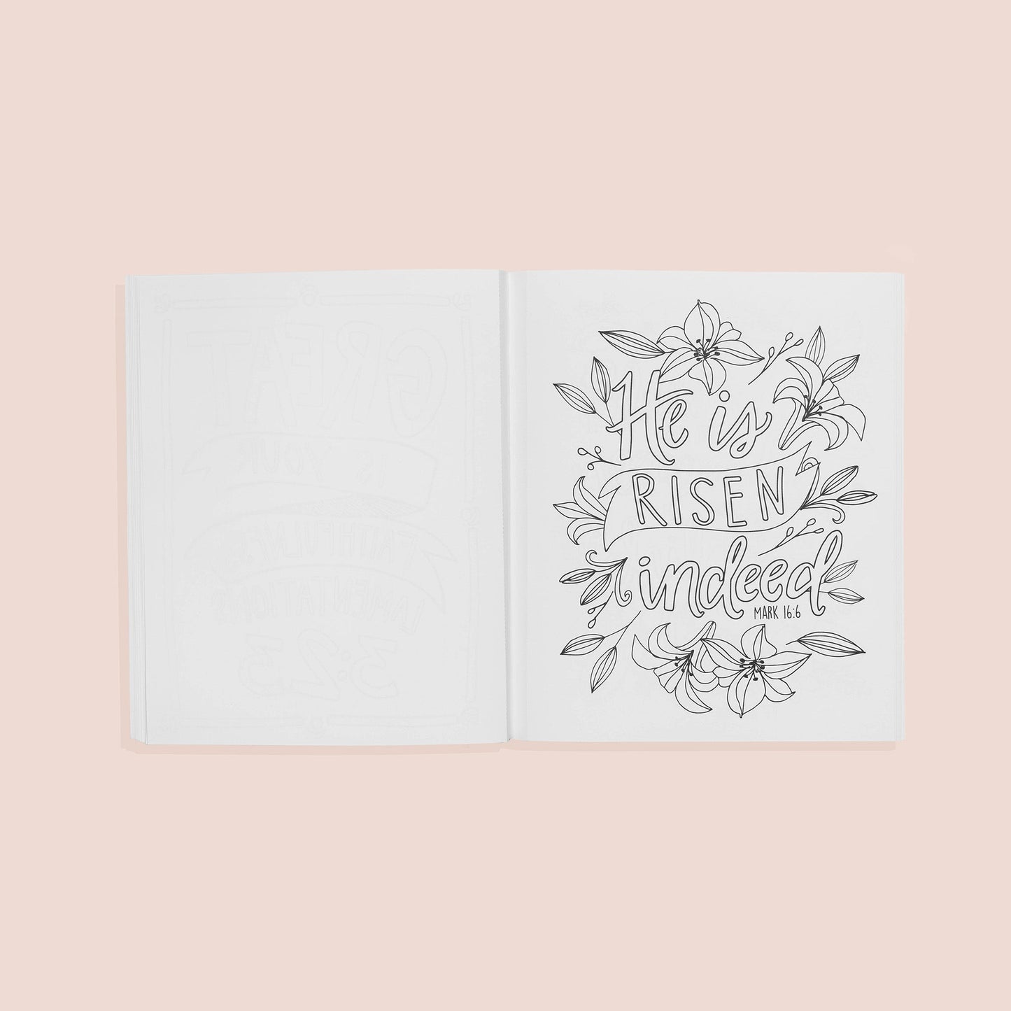 Beauty in The Bible 3