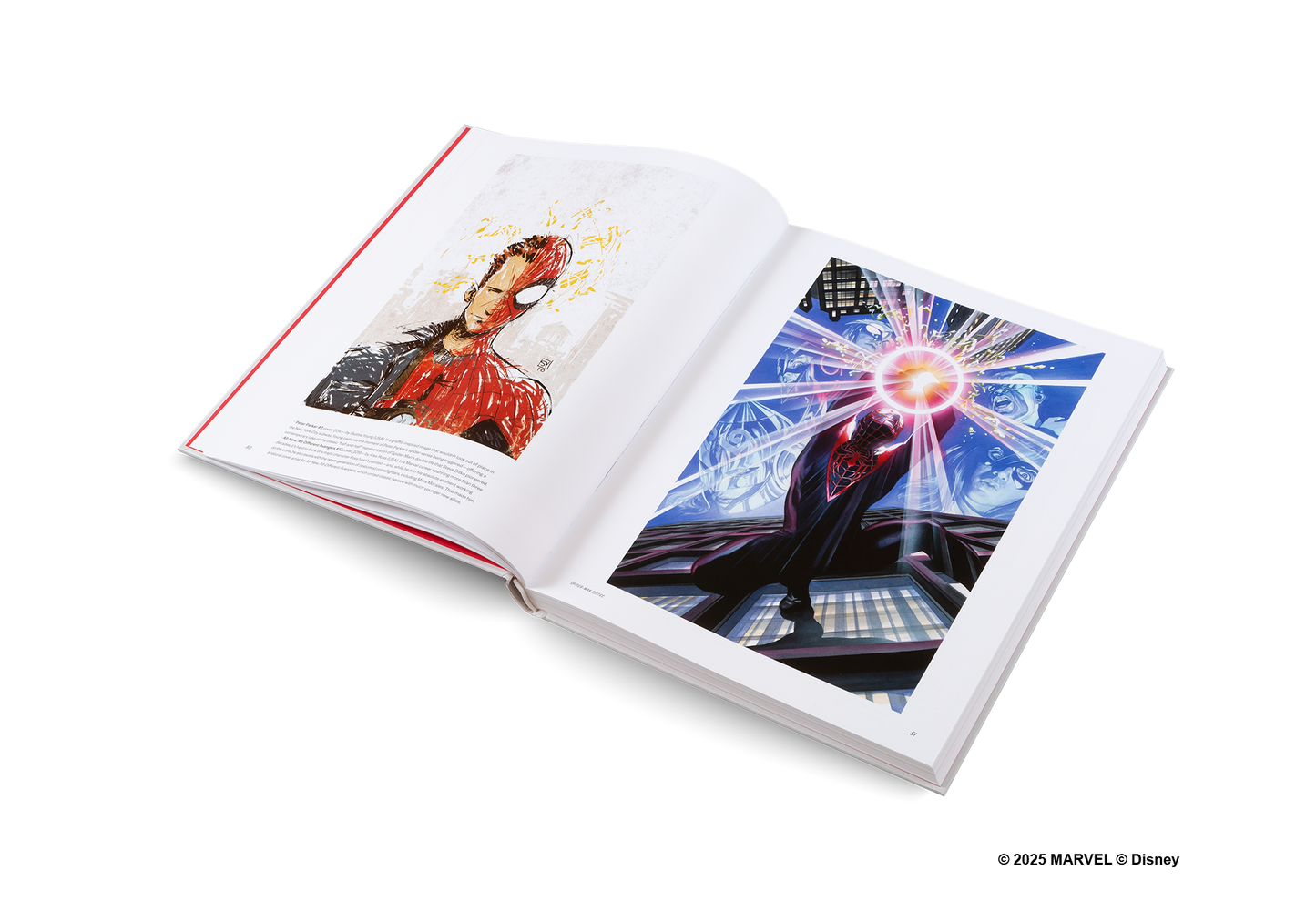 Disney Hotel New York: The Art of Marvel